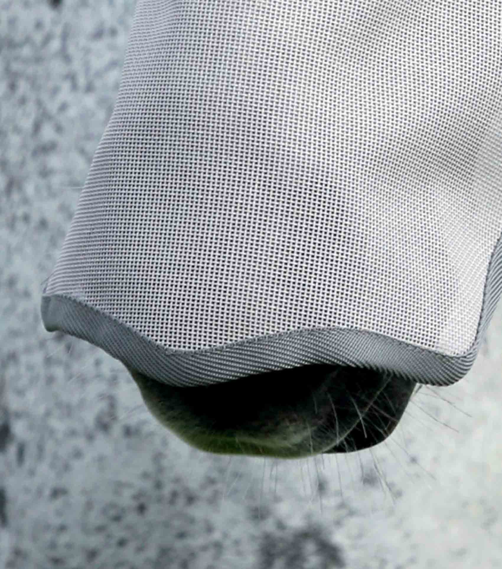 Buster Fly Mask Xtra Silver - Image 6