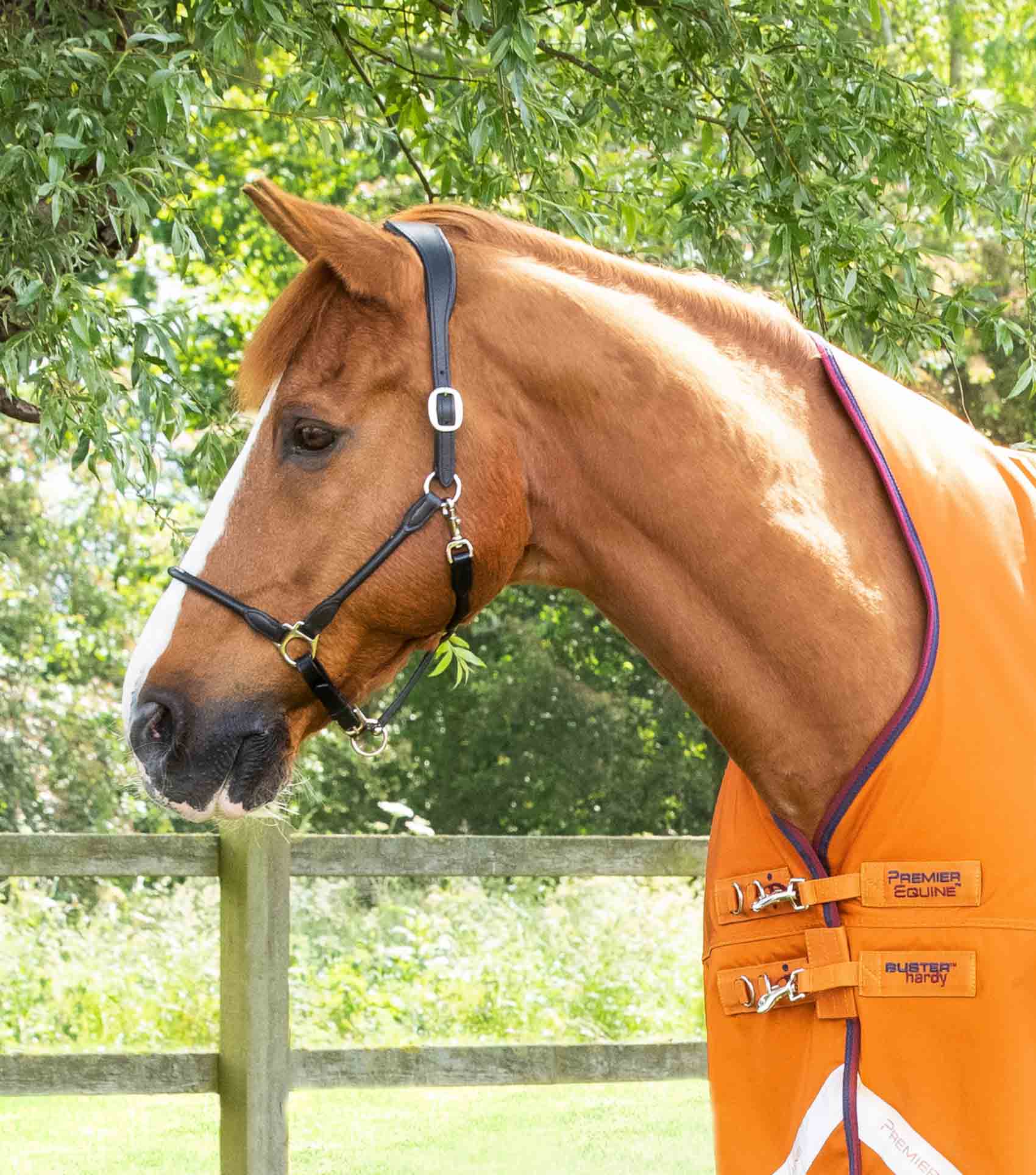 Buster Hardy 200g Half Neck Turnout Rug Burnt Orange - Image 2