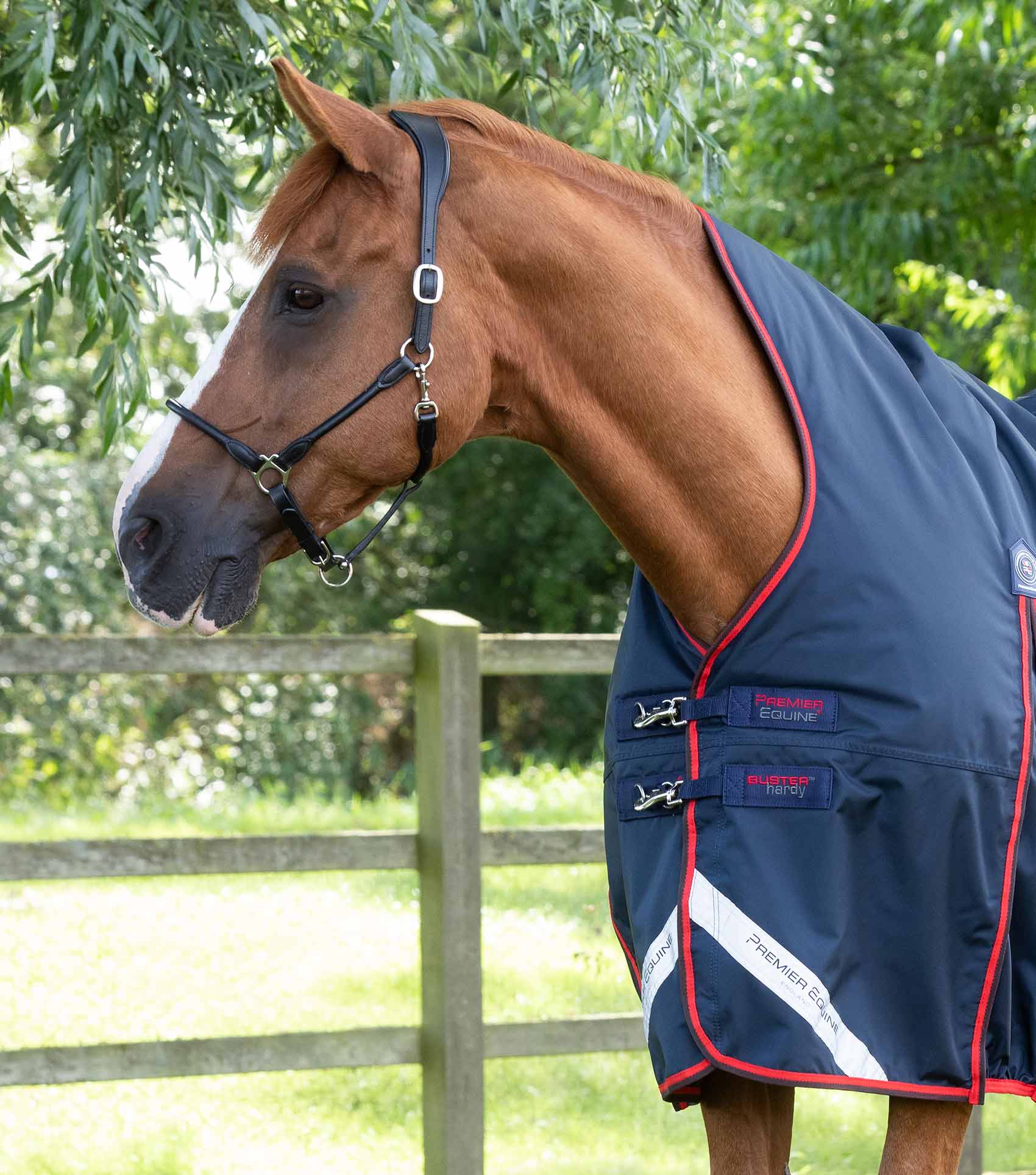 Buster Hardy 200g Half Neck Turnout Rug Navy - Image 2