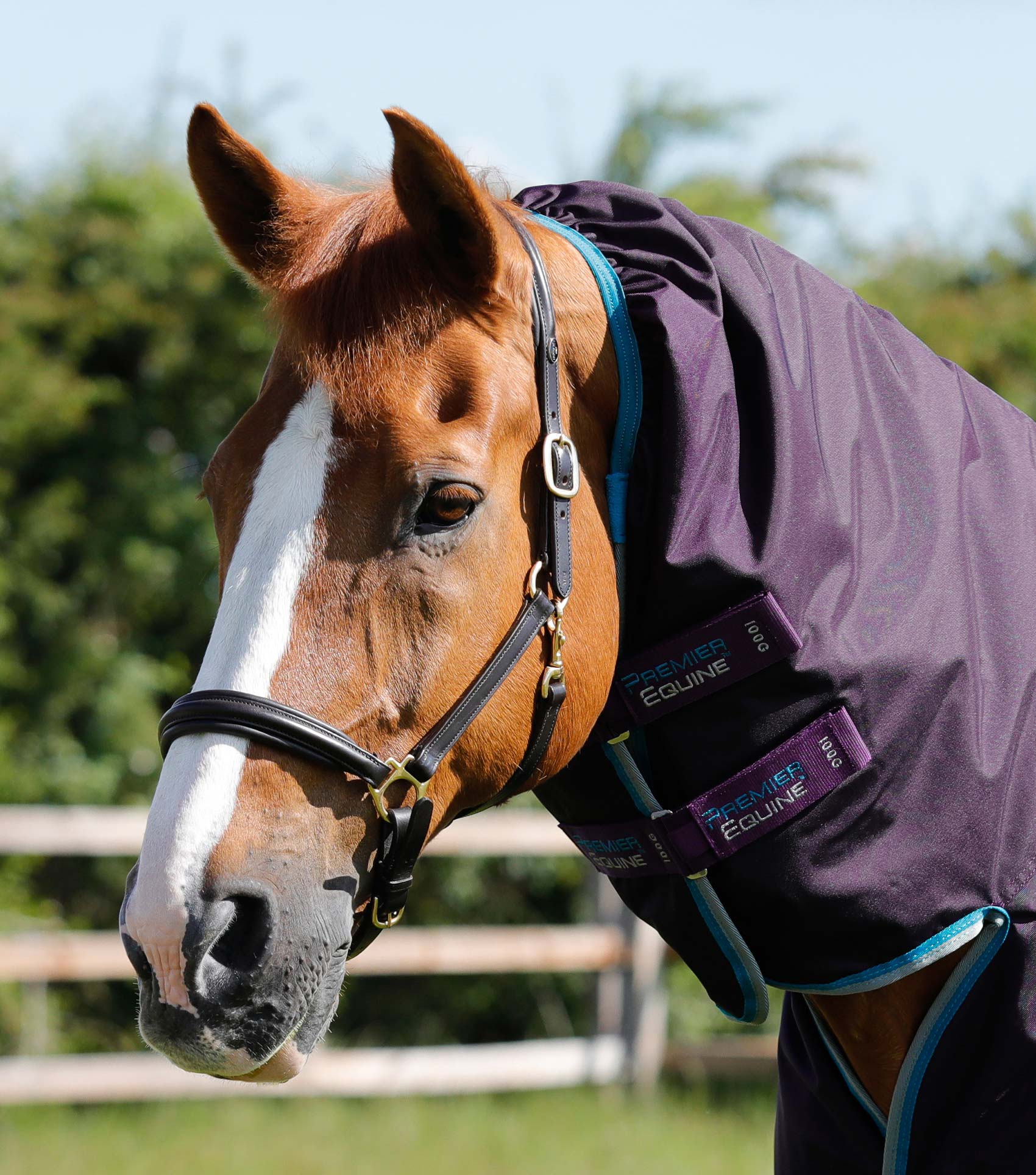 Buster Storm 100g Combo Turnout Rug with Snug-Fit Neck Purple - Image 2