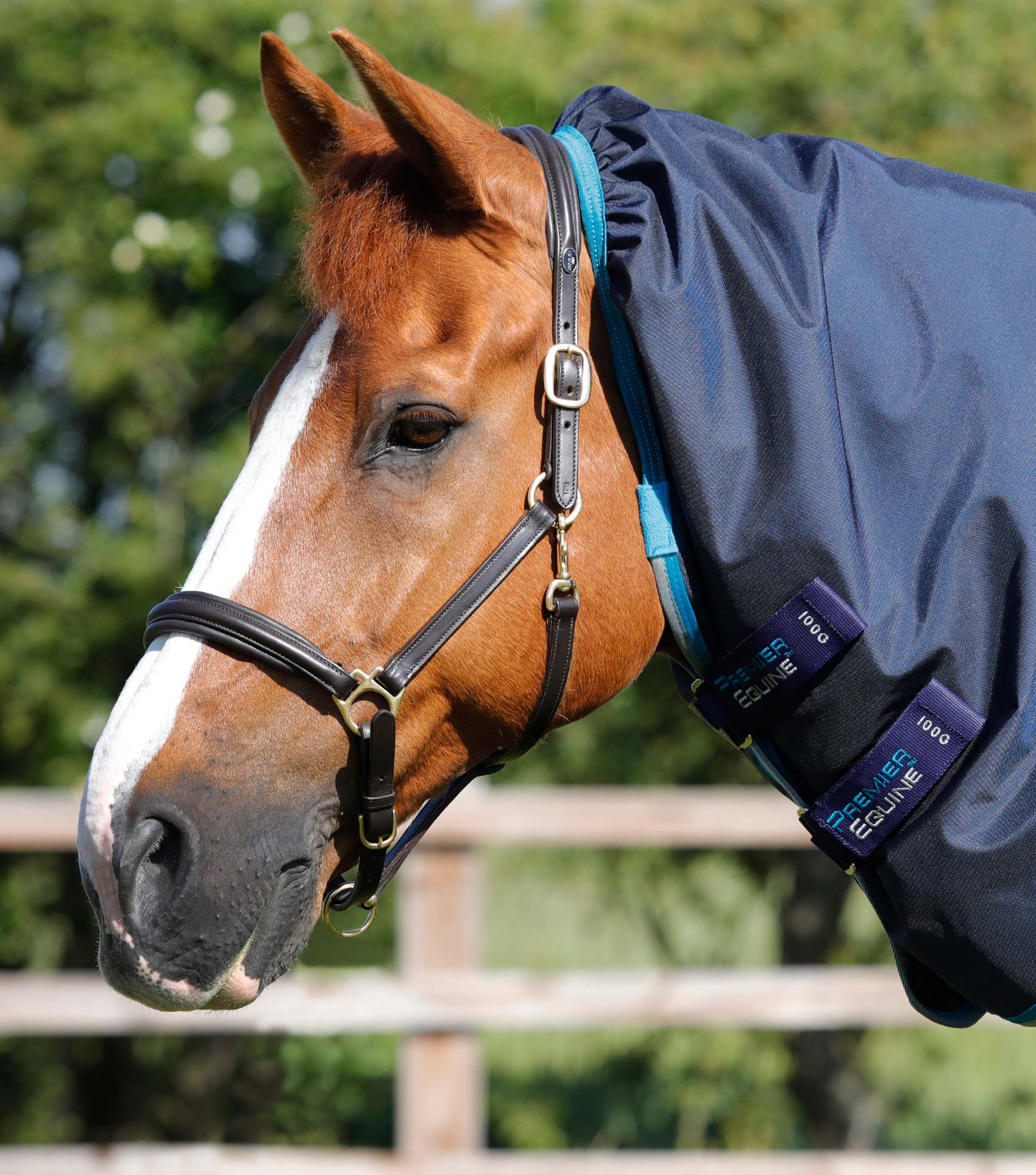 Buster Storm 100g Combo Turnout Rug with Snug-Fit Neck Navy - Image 2