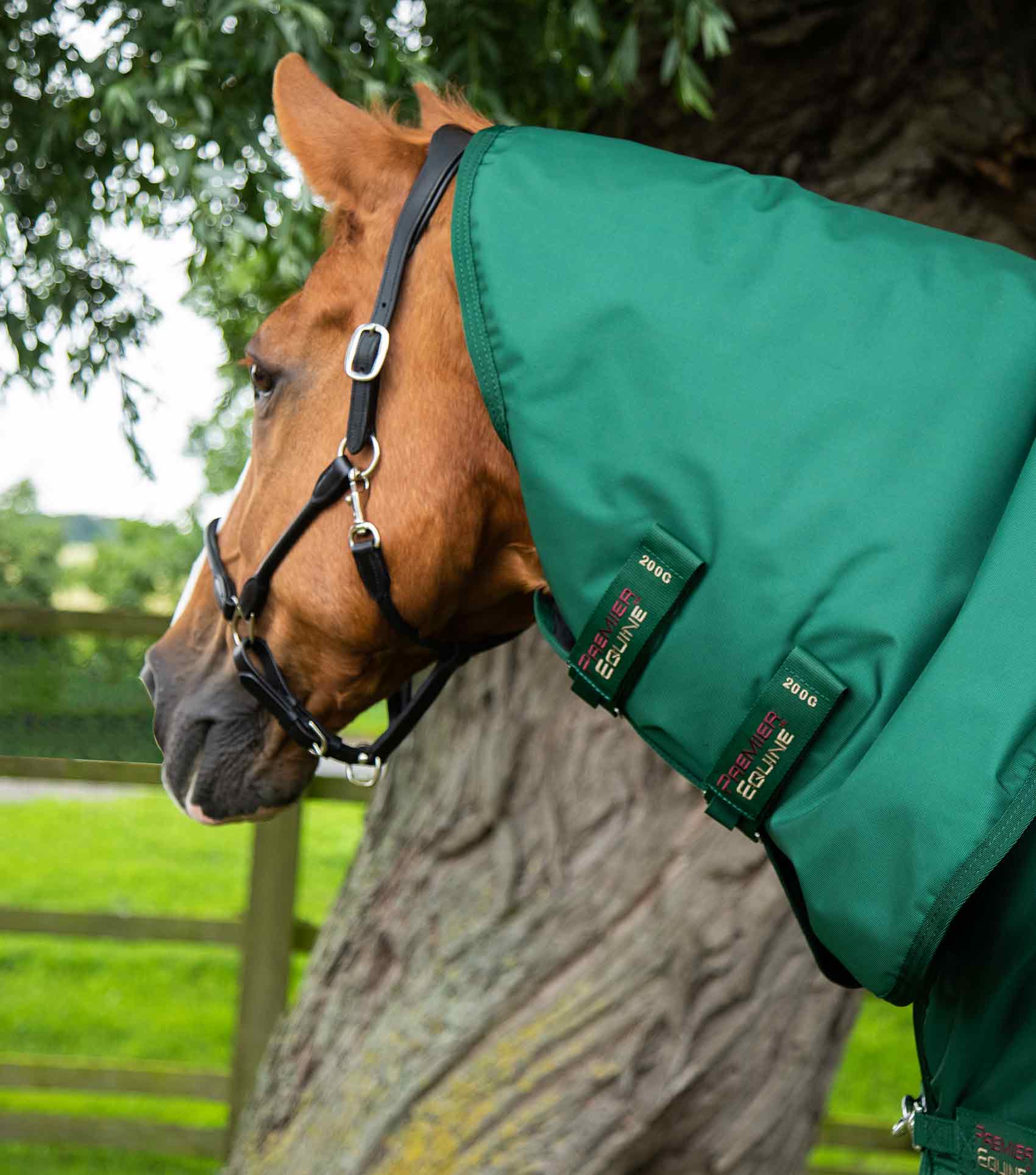 Buster Storm 220g Combo Turnout Rug with Classic Neck Green - Image 2