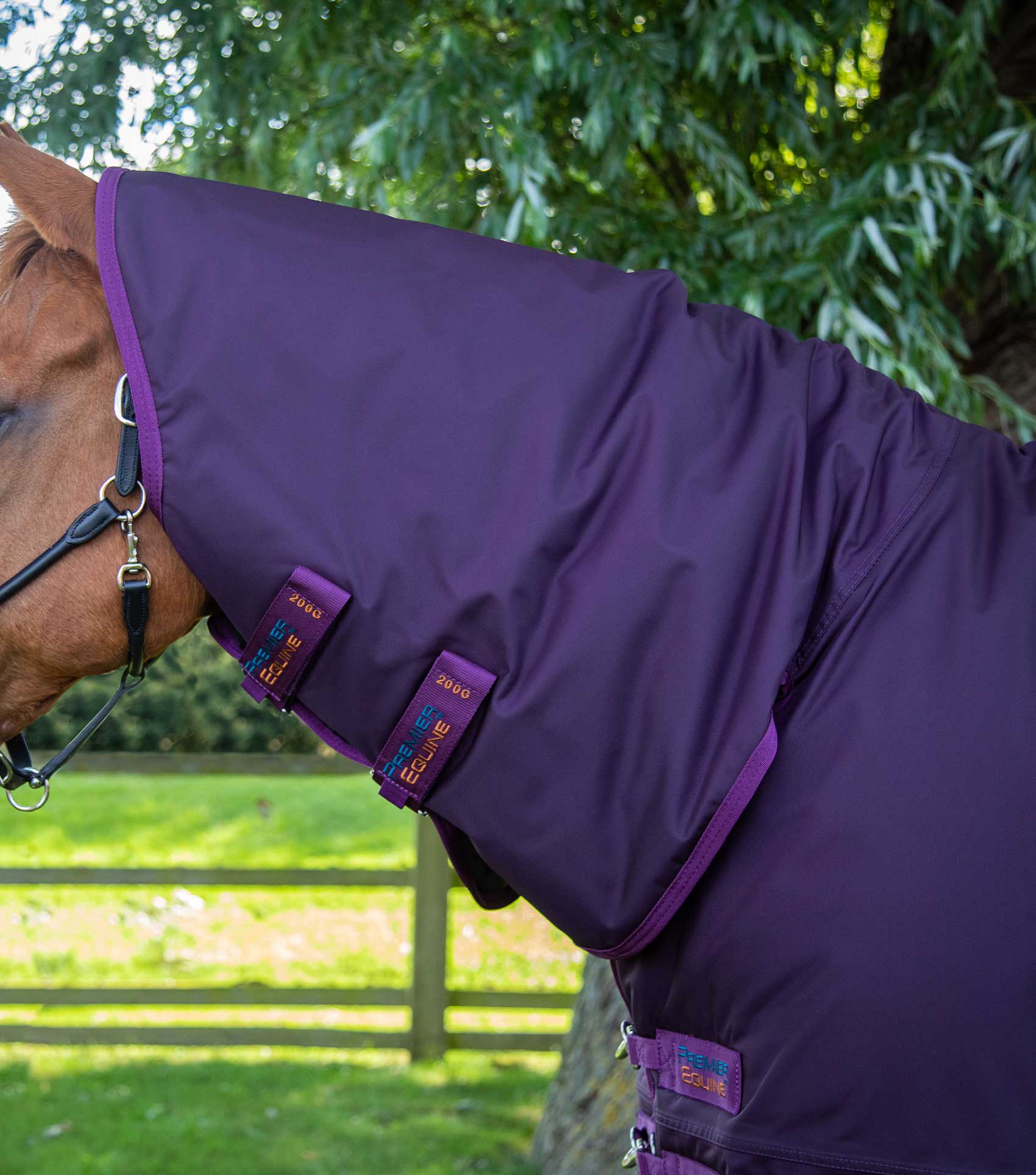 Buster Storm 420g Combo Turnout Rug with Classic Neck Purple - Image 2