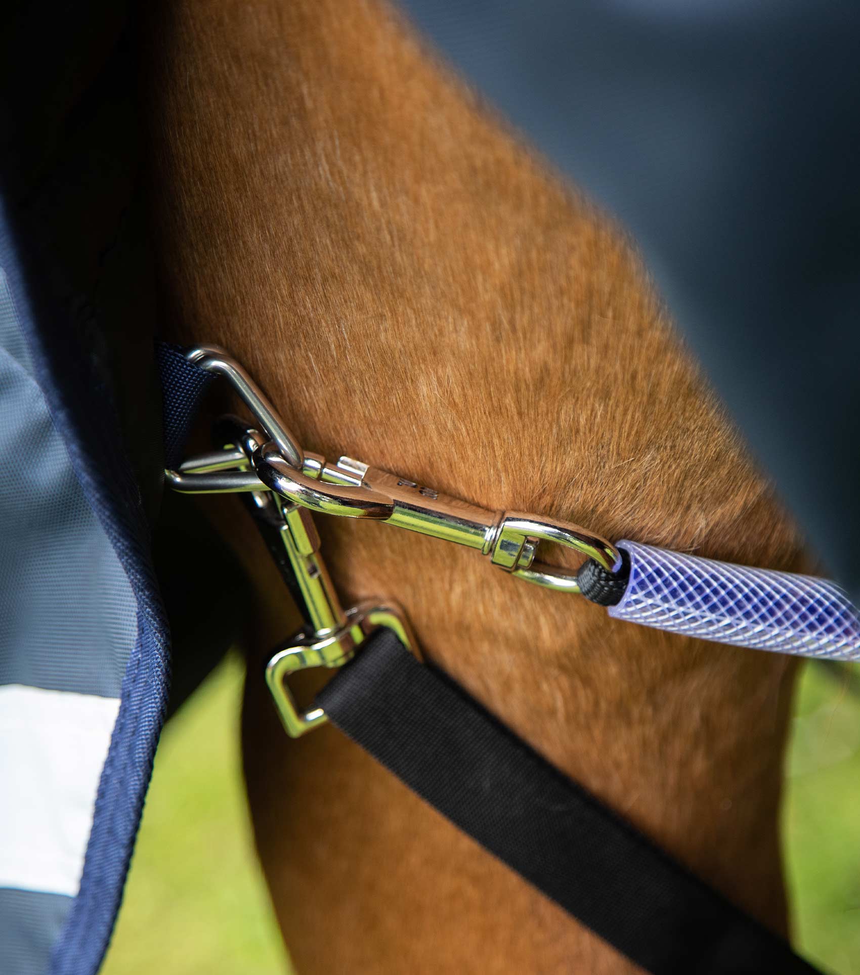 Buster Storm 220g Combo Turnout Rug with Classic Neck Navy - Image 5