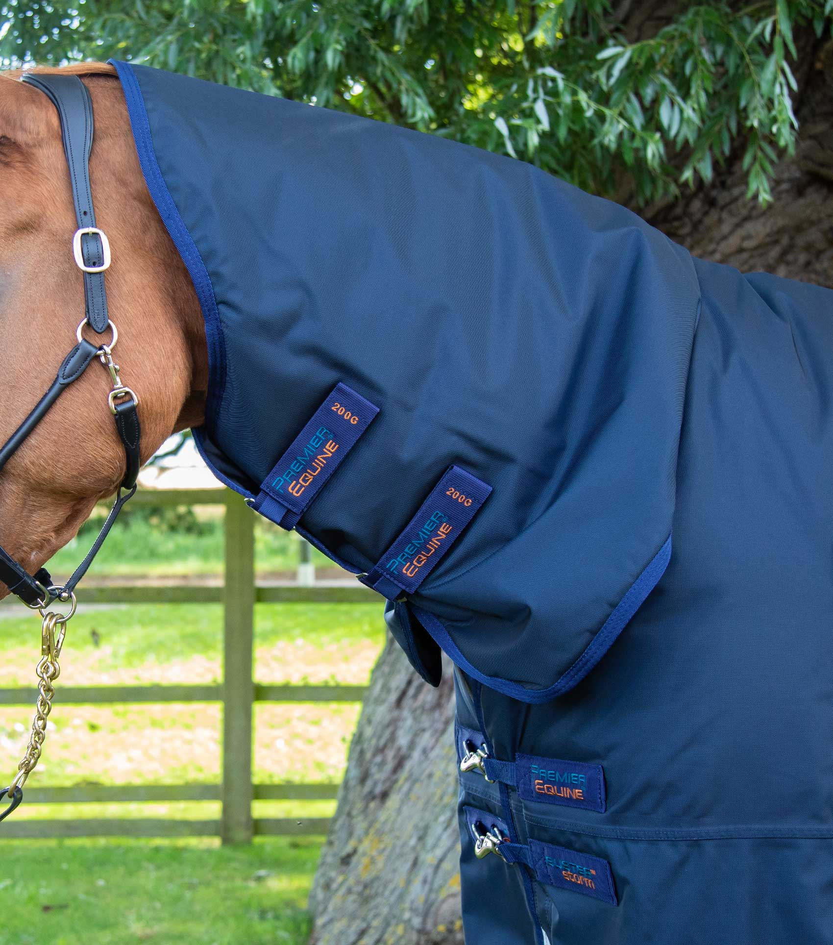 Buster Storm 420g Combo Turnout Rug with Classic Neck Navy - Image 2