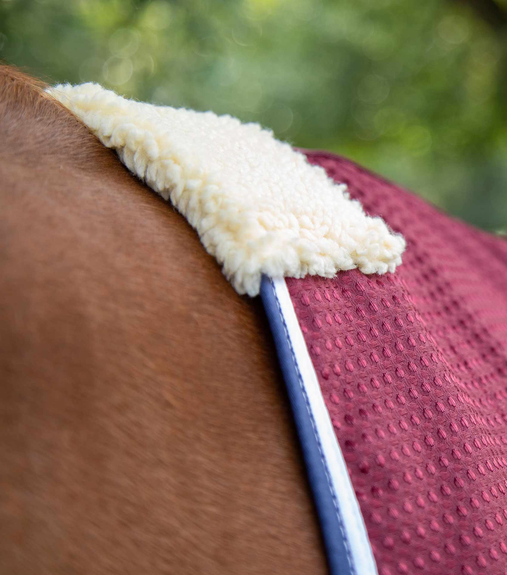 Buster Waffle Horse Cooler Rug Burgundy - Image 3