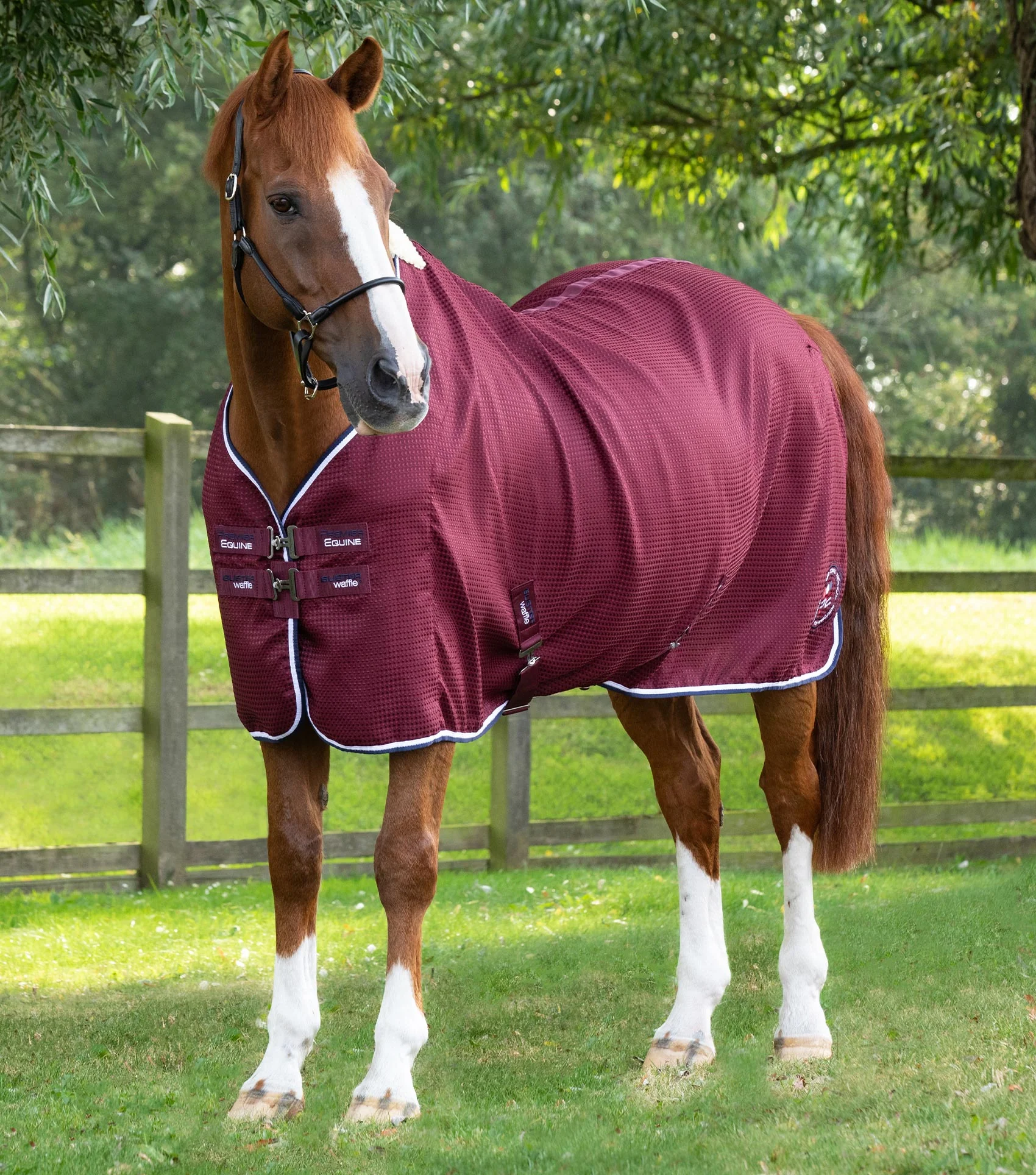 Buster Waffle Horse Cooler Rug Burgundy - Image 6