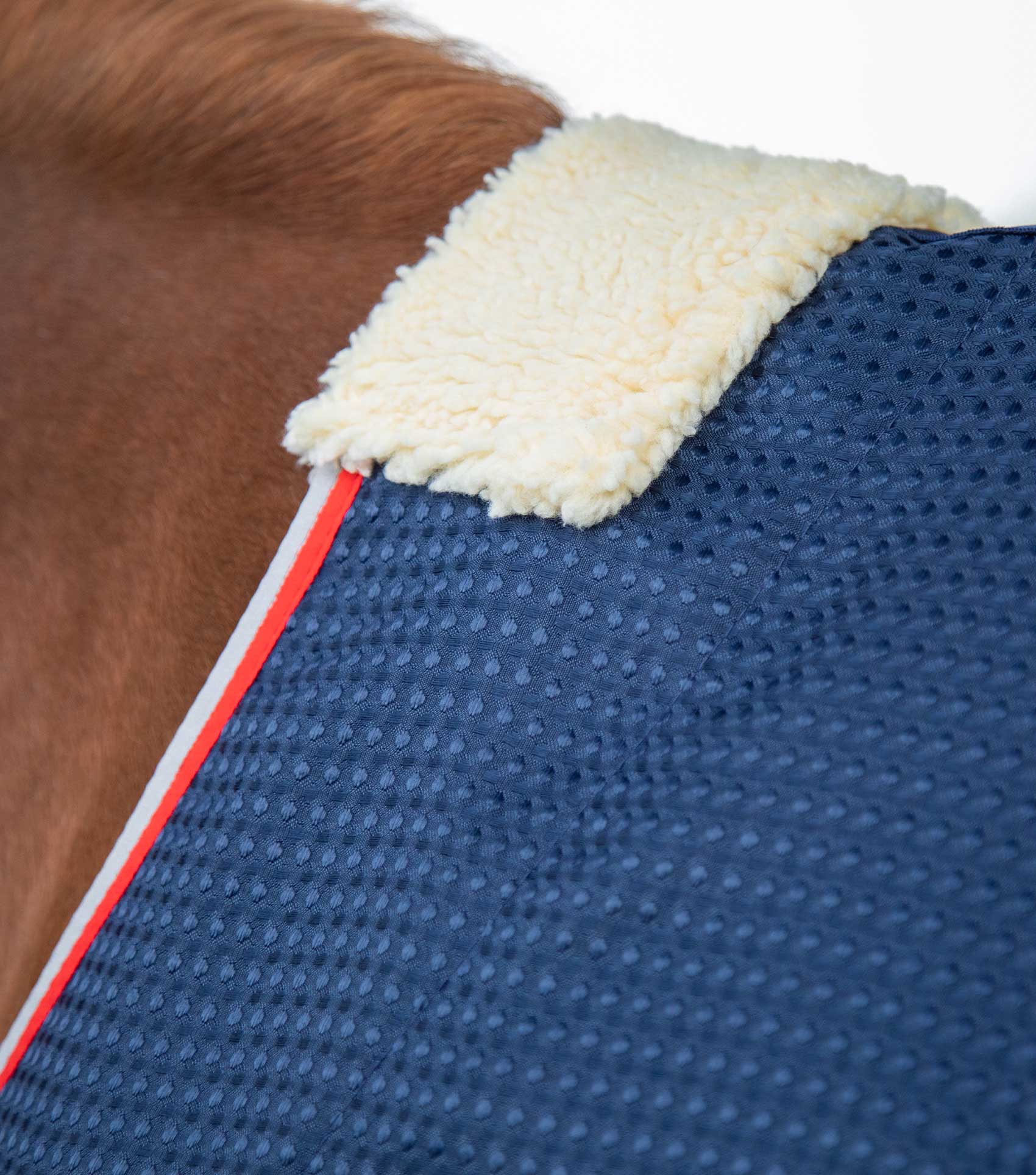 Buster Waffle Horse Cooler Rug Navy - Image 3