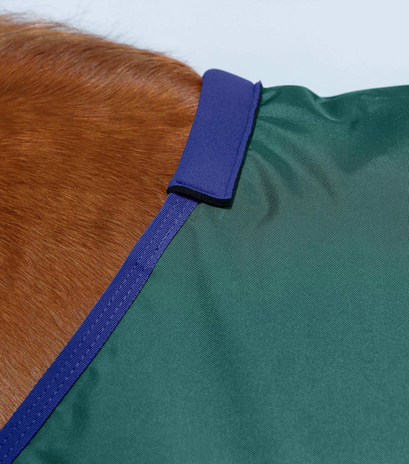 Buster Zero Original Turnout Rug Green - Image 3
