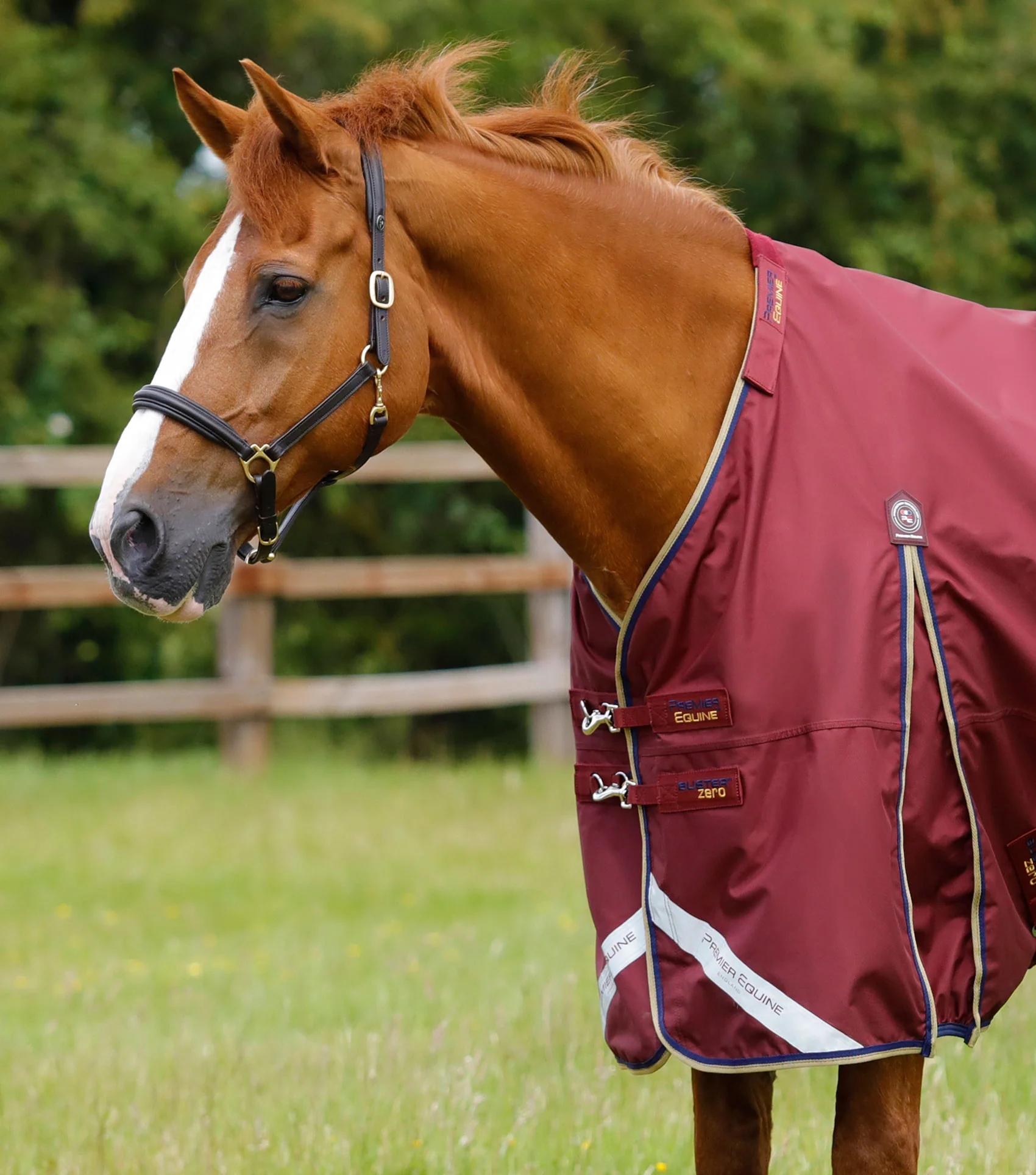 Buster Zero Turnout Rug with Classic Neck Cover Burgundy - Image 2