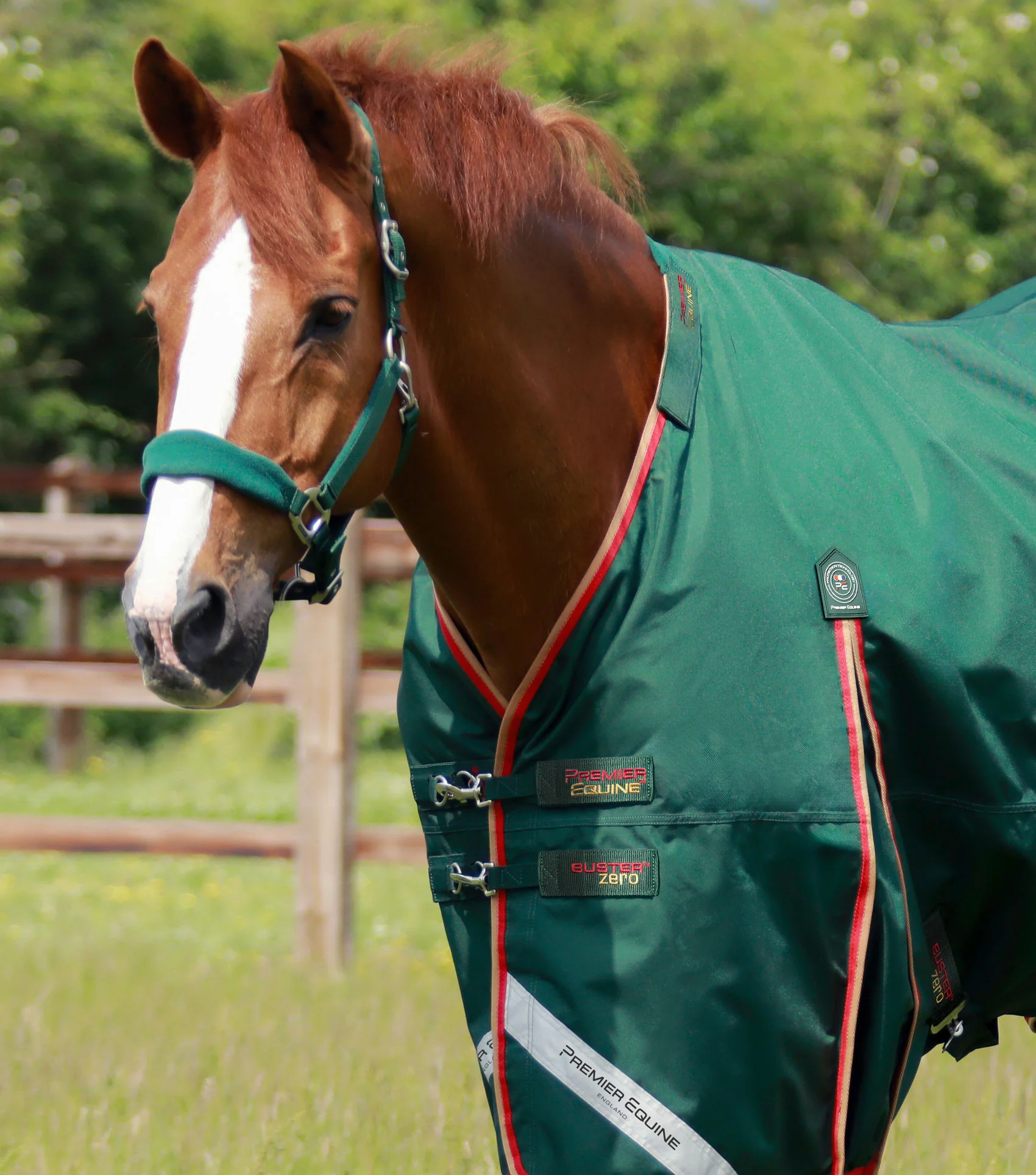 Buster Zero Turnout Rug with Classic Neck Cover Green - Image 2