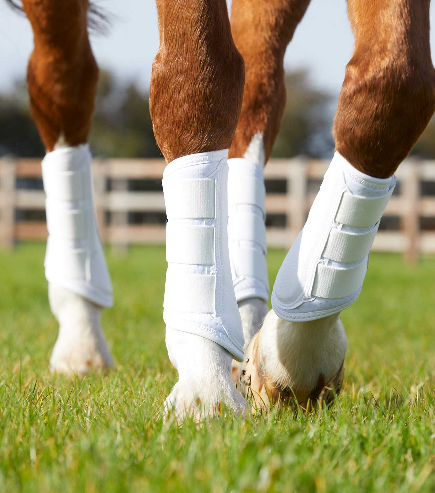 Carbon Air-Tech Single Locking Brushing Boots White - Image 5