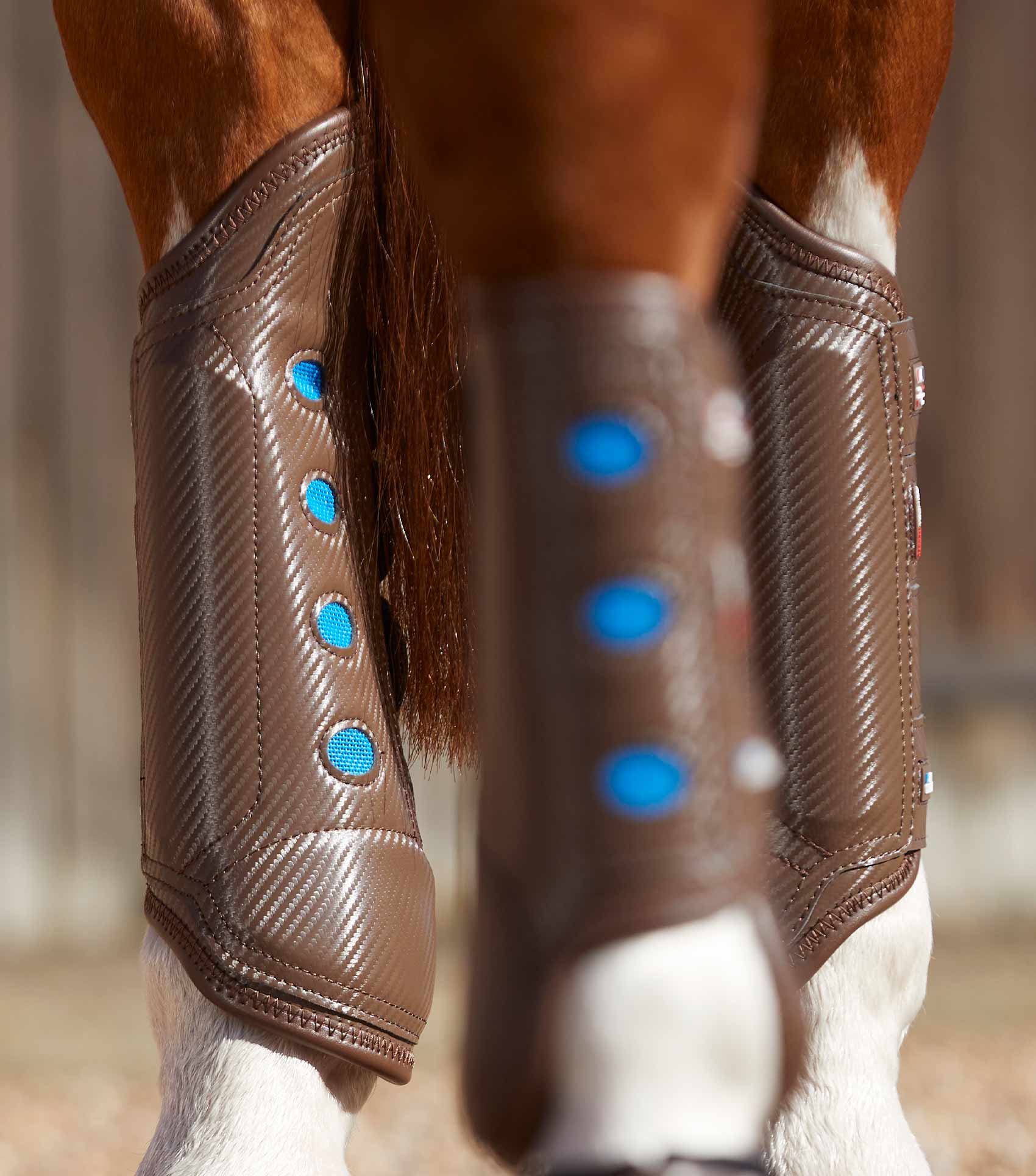 Carbon Tech Air Cooled Eventing Boots Brown Hind - Image 3