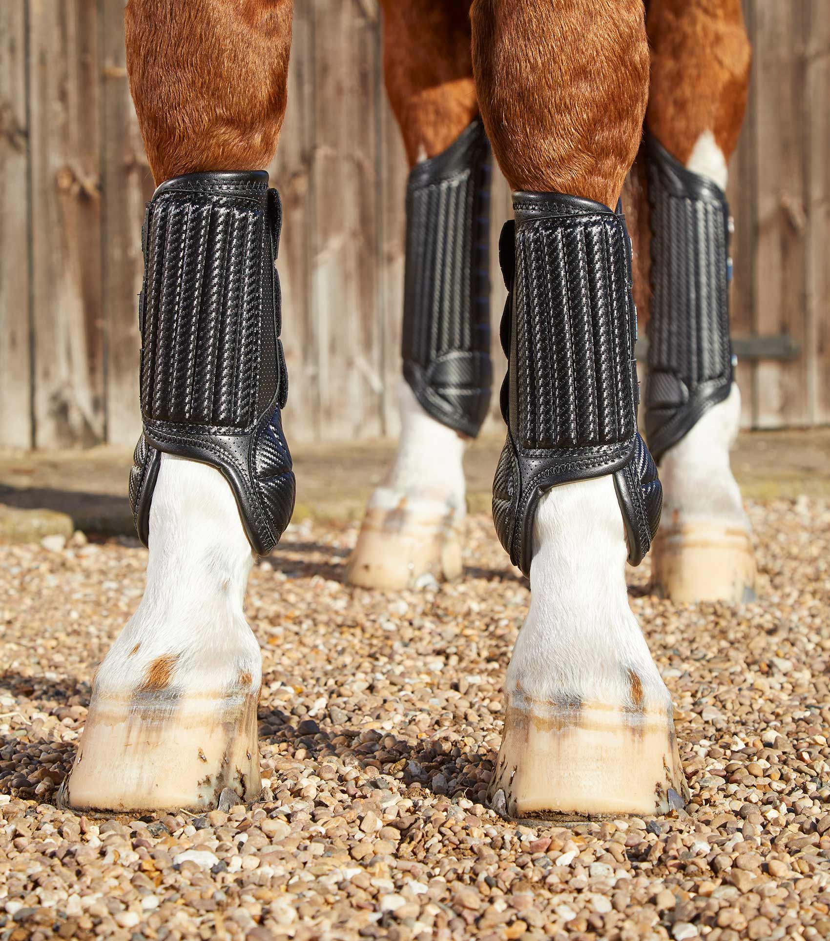 Sale Carbon Tech Air Flex Eventing Boots - Image 12