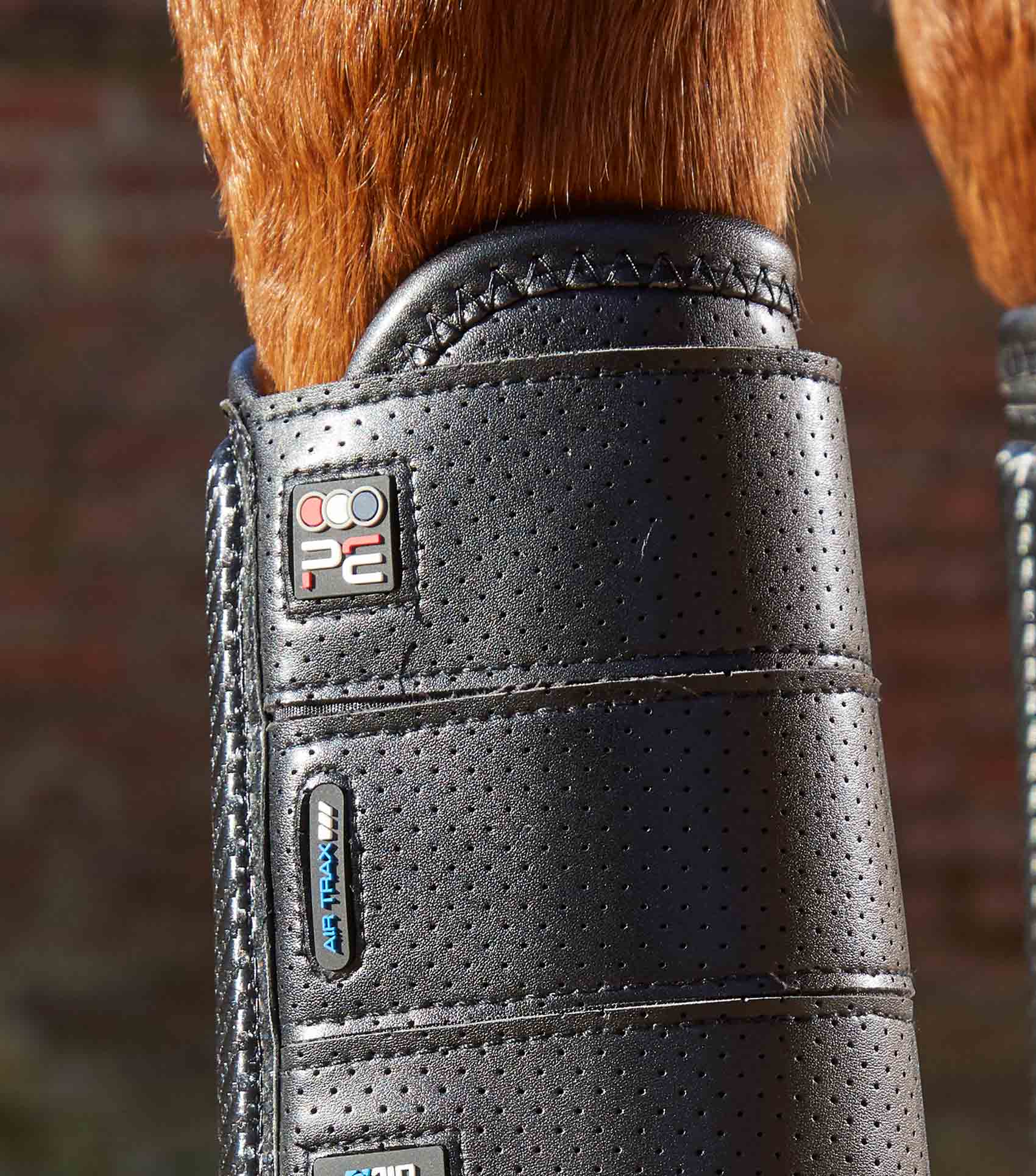 Sale Carbon Tech Air Flex Eventing Boots - Image 14