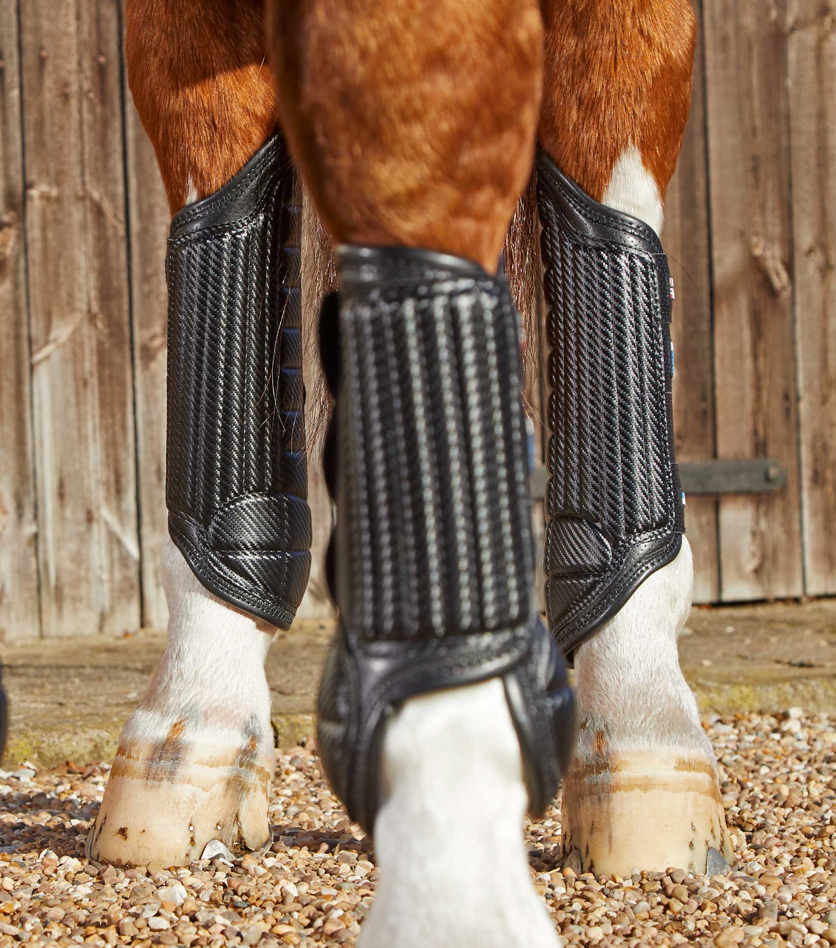 Sale Carbon Tech Air Flex Eventing Boots - Image 18