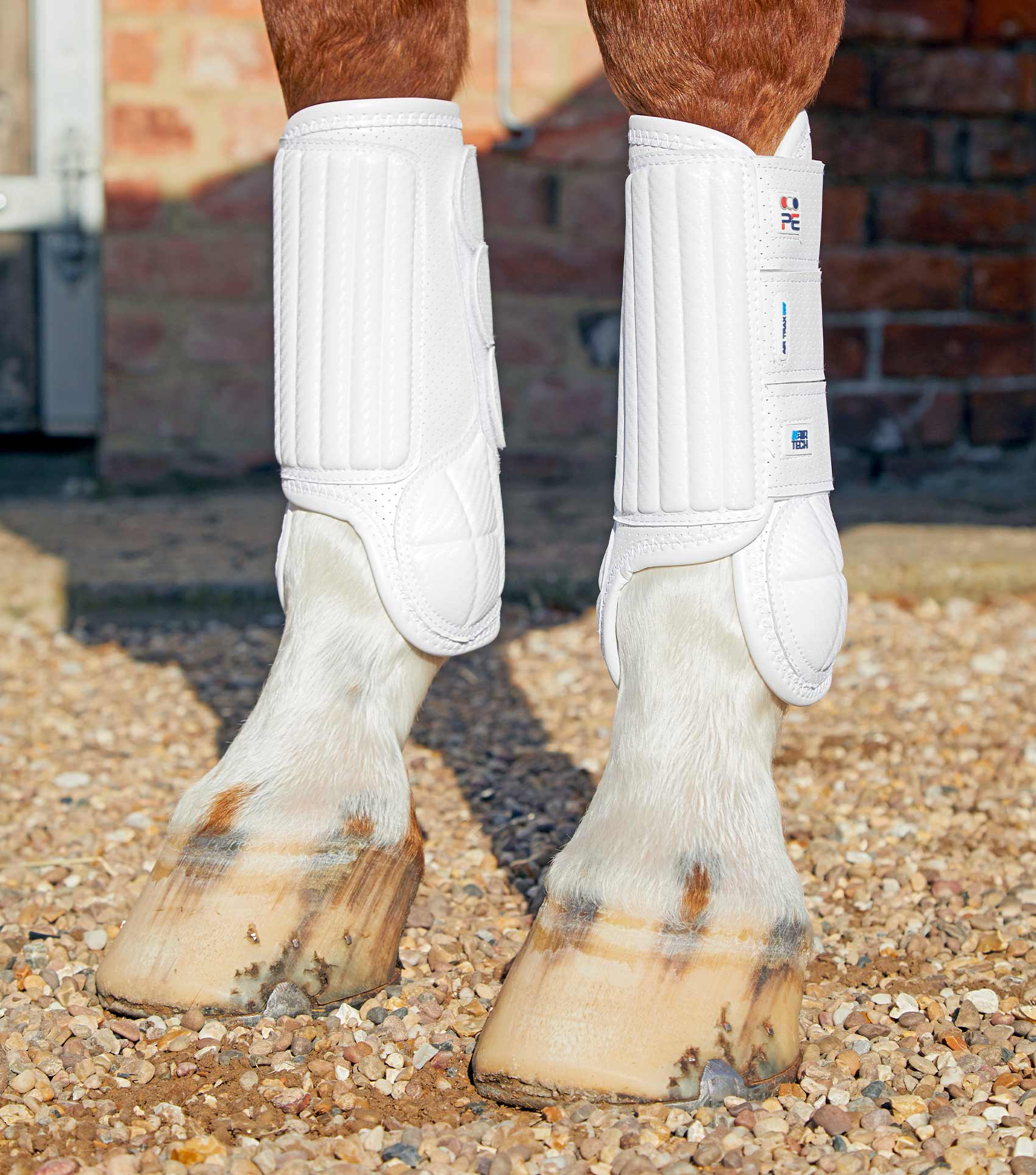 Sale Carbon Tech Air Flex Eventing Boots - Image 25