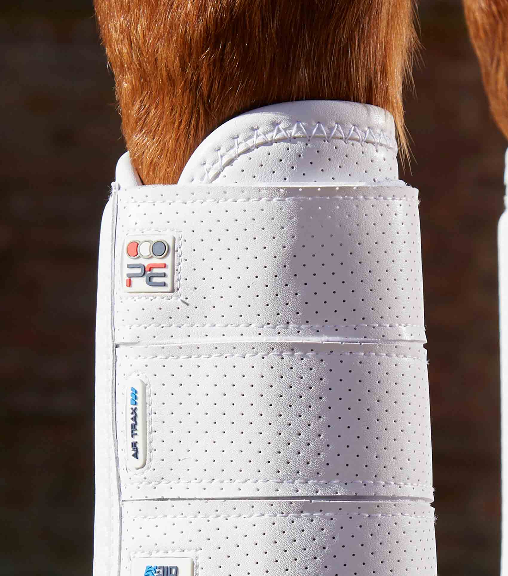 Sale Carbon Tech Air Flex Eventing Boots - Image 28