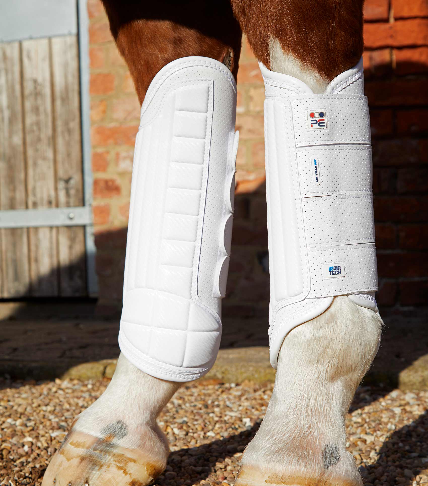 Sale Carbon Tech Air Flex Eventing Boots - Image 31