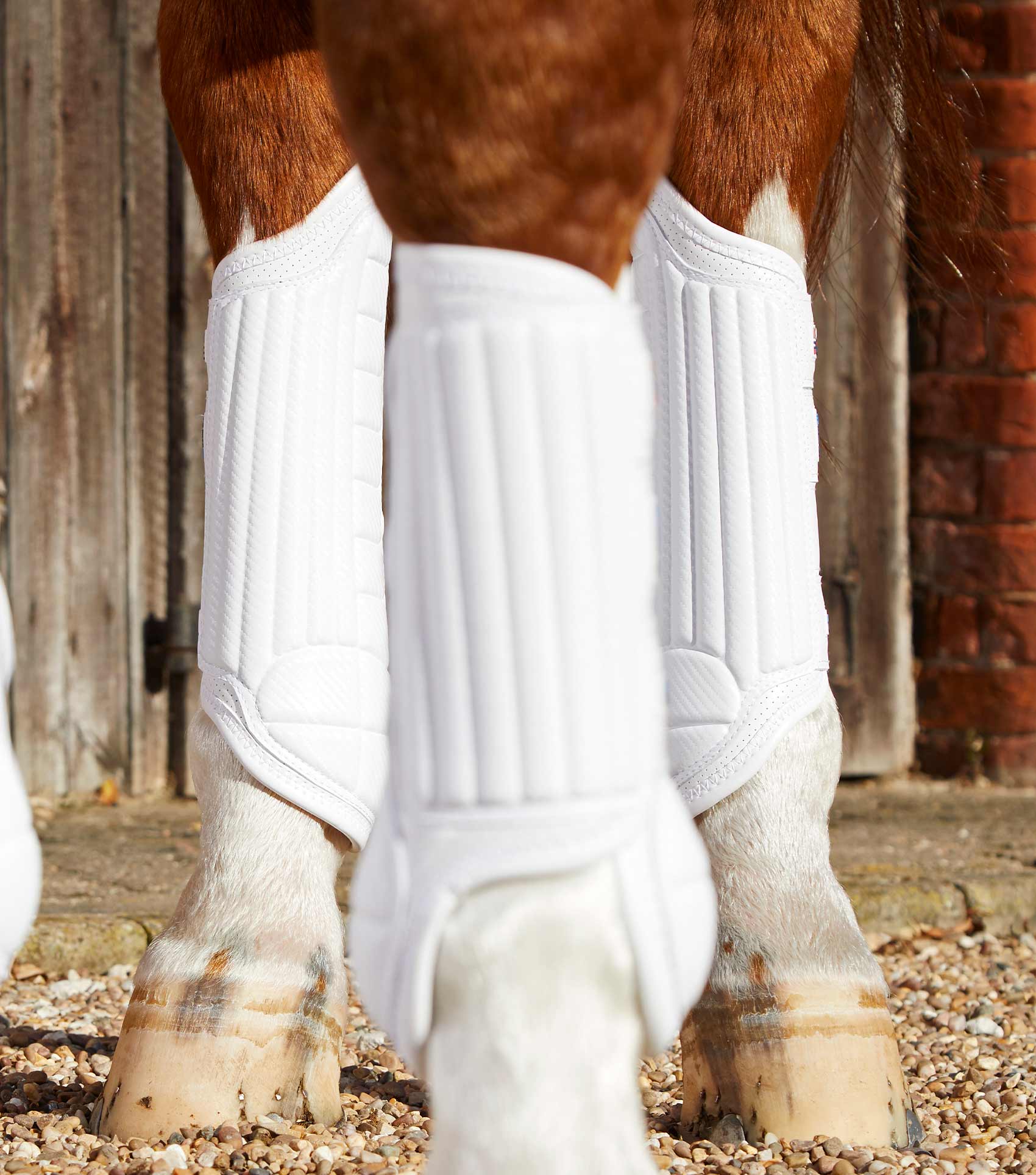 Sale Carbon Tech Air Flex Eventing Boots - Image 32