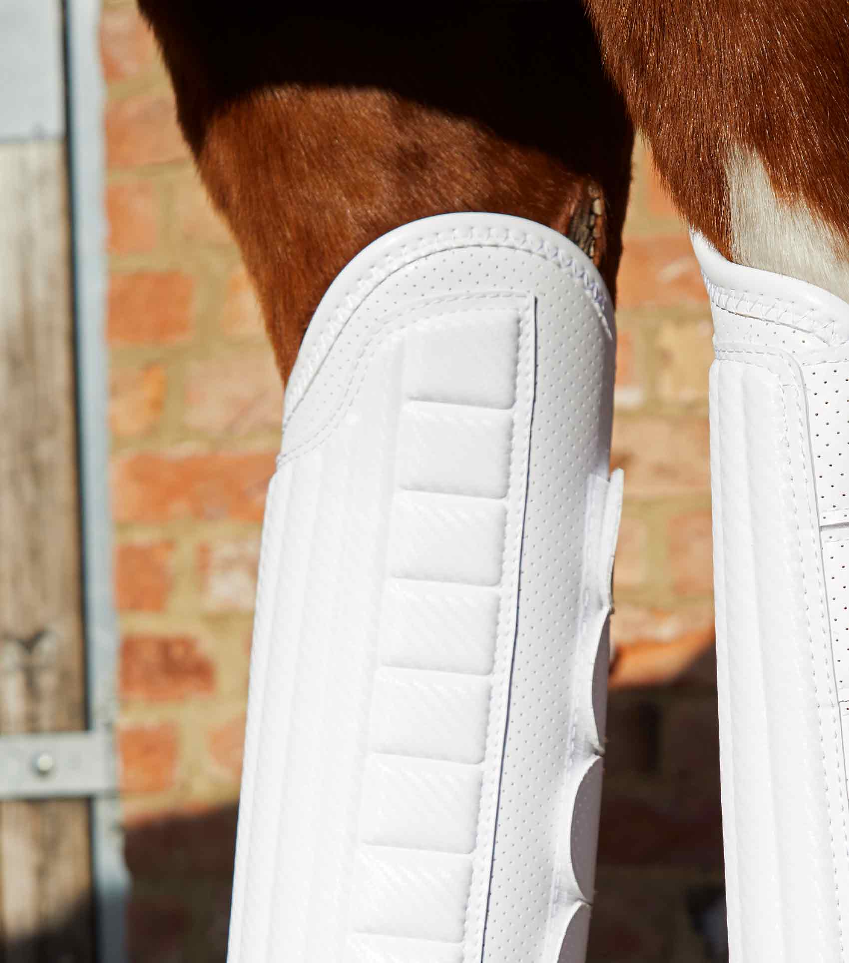 Sale Carbon Tech Air Flex Eventing Boots - Image 34