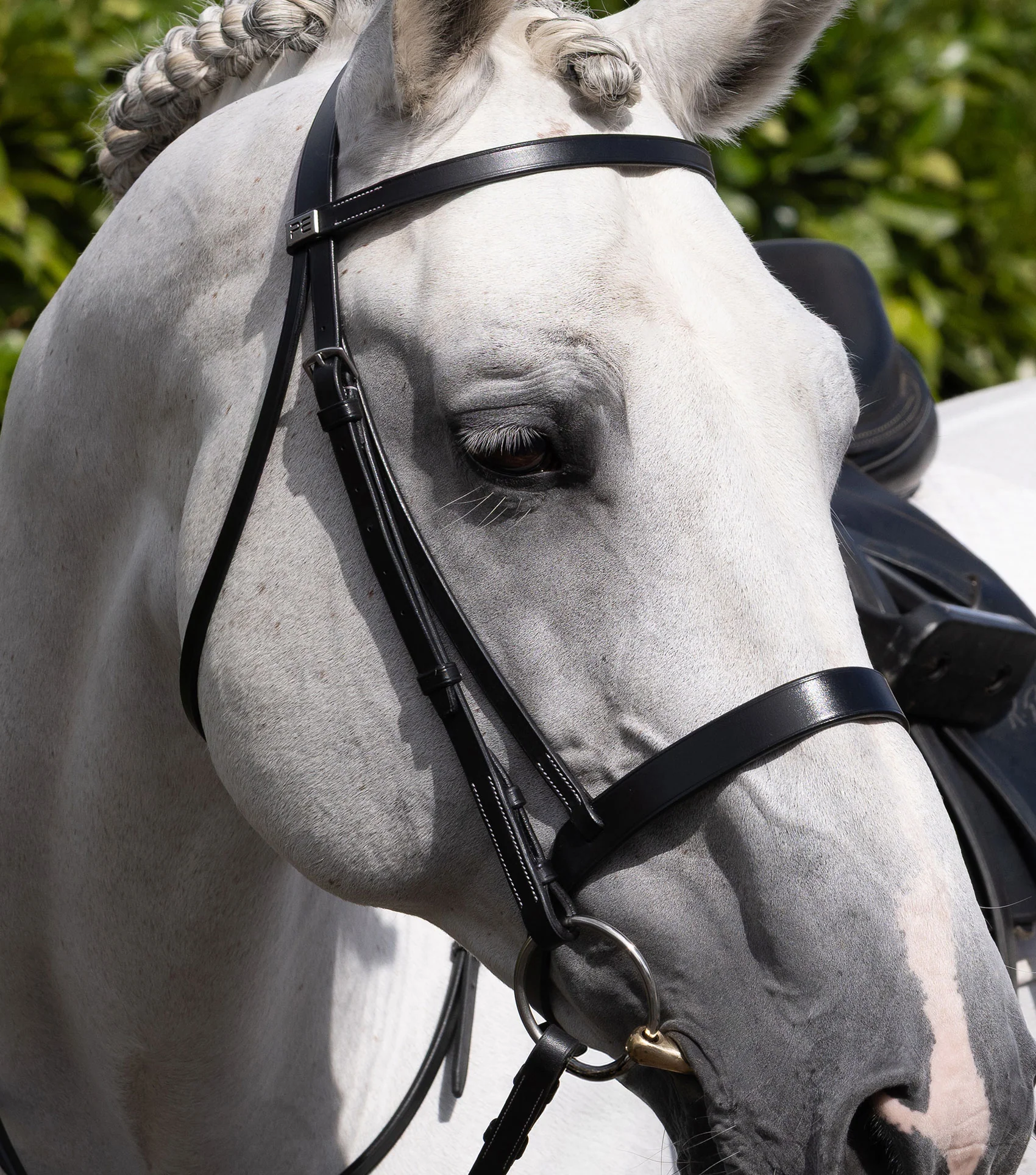 Cheek Pieces for Hunter Bridle Black - Image 2