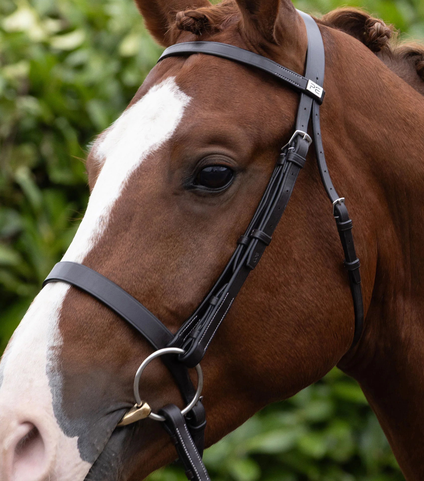 Cheek Pieces for Hunter Bridle Dark Havana - Image 2