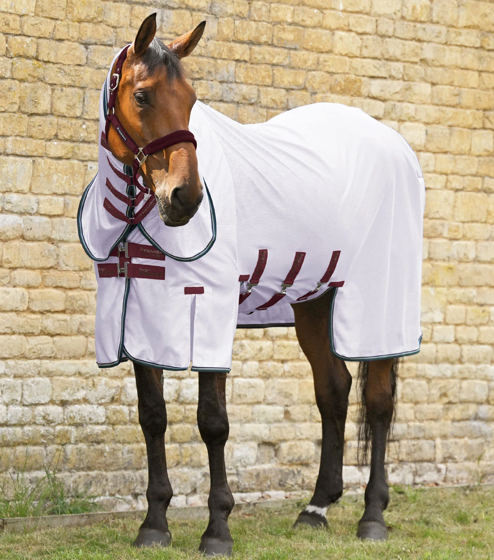Combo Bug Buster Fly Rug with Belly Flap Lavender