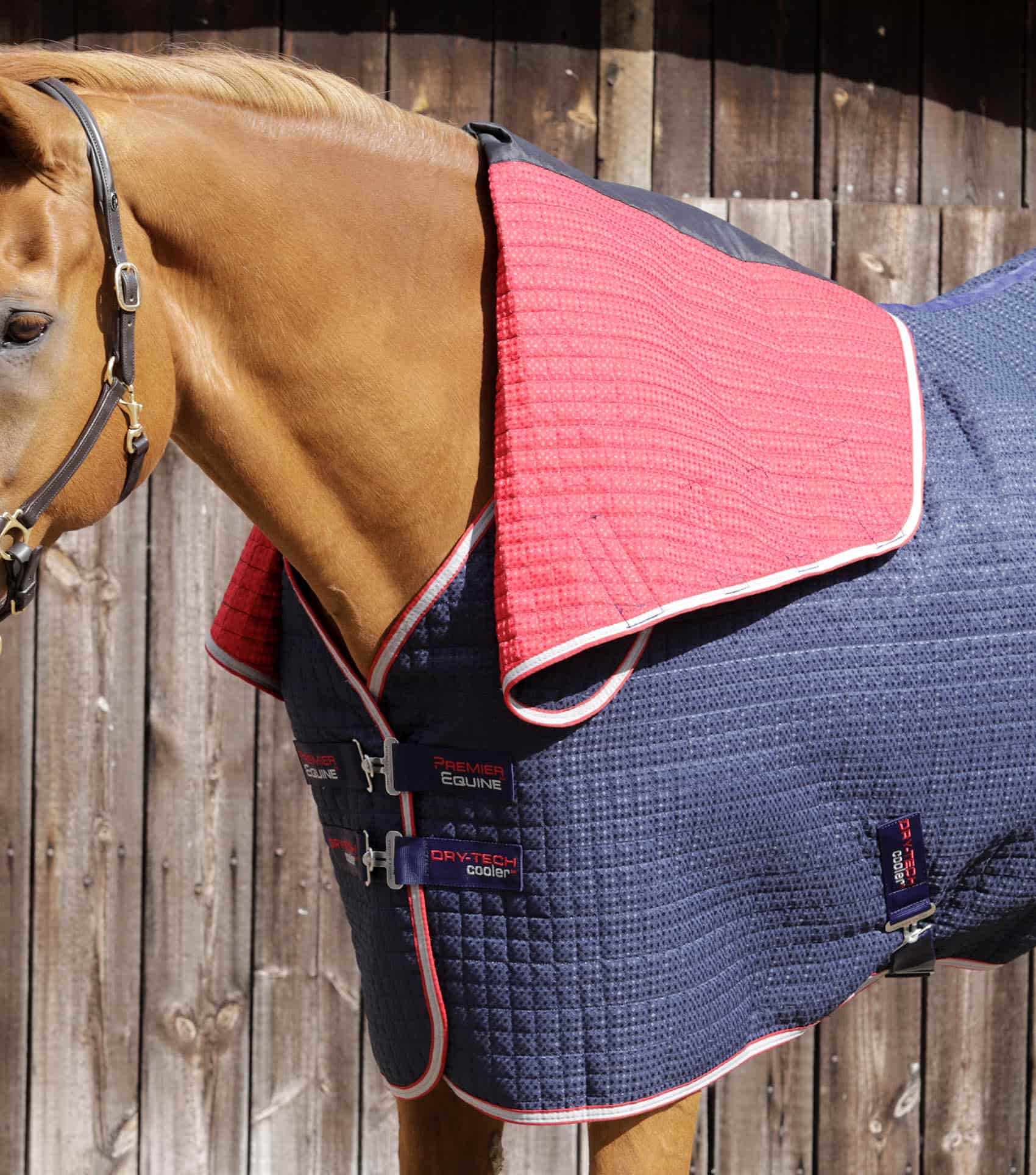 Combo Dry-Tech Horse Cooler Rug Navy - Image 4