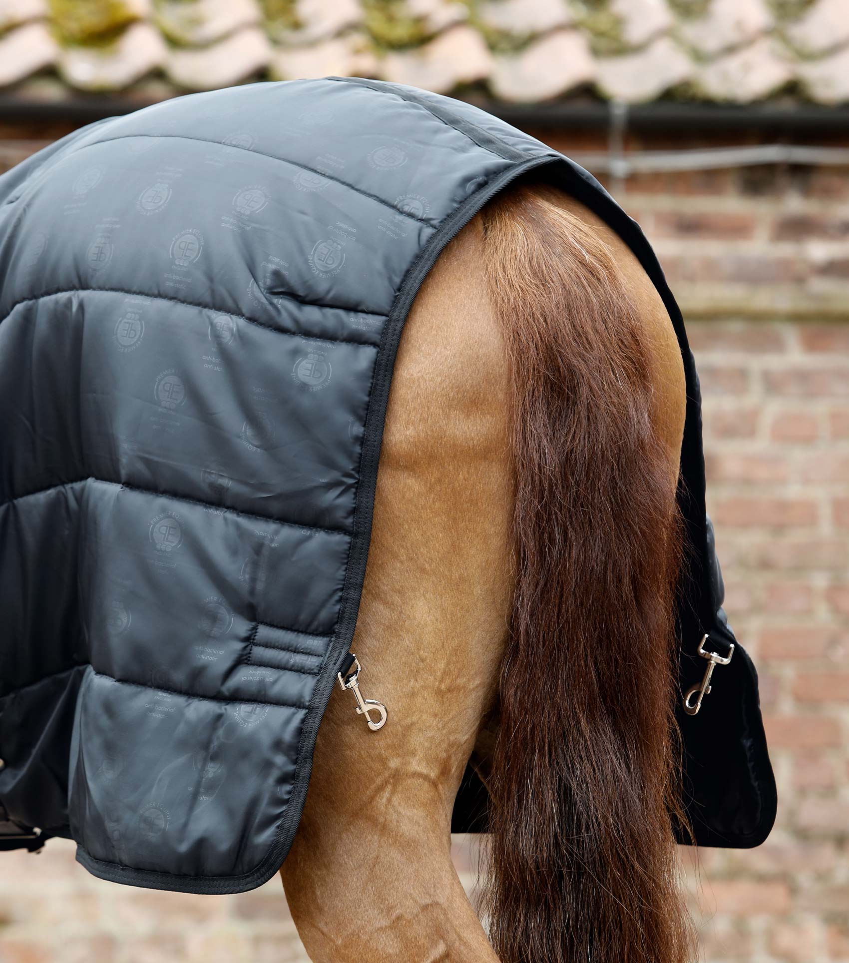 100g Combo Horse Rug Liner - Image 6