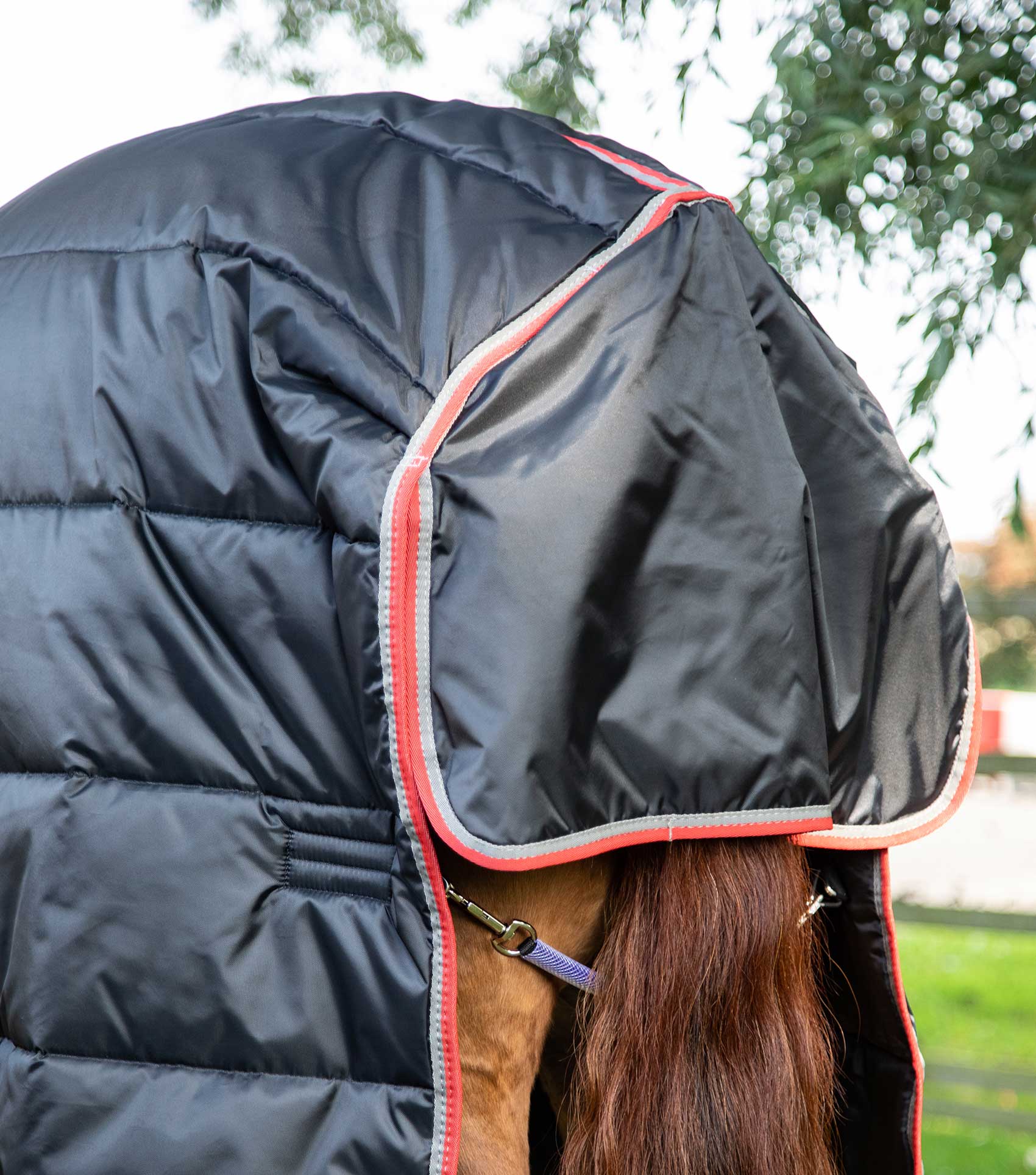 Combo Stable Rug 400g Black - Image 5
