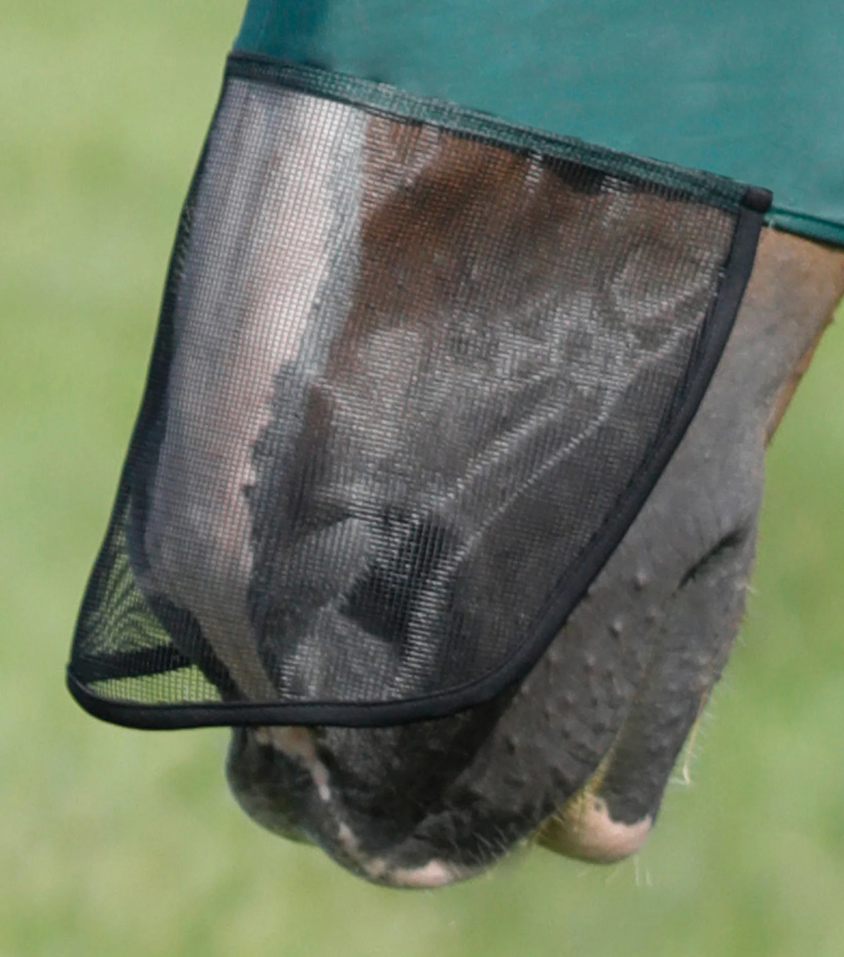 Comfort Tech Lycra Fly Mask Xtra Green - Image 4
