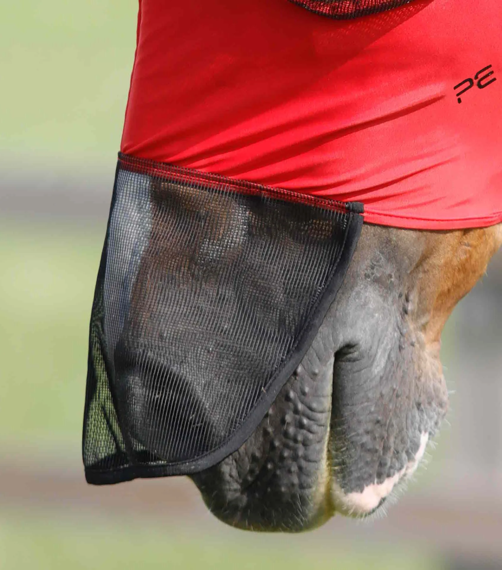 Comfort Tech Lycra Fly Mask Xtra Red - Image 4
