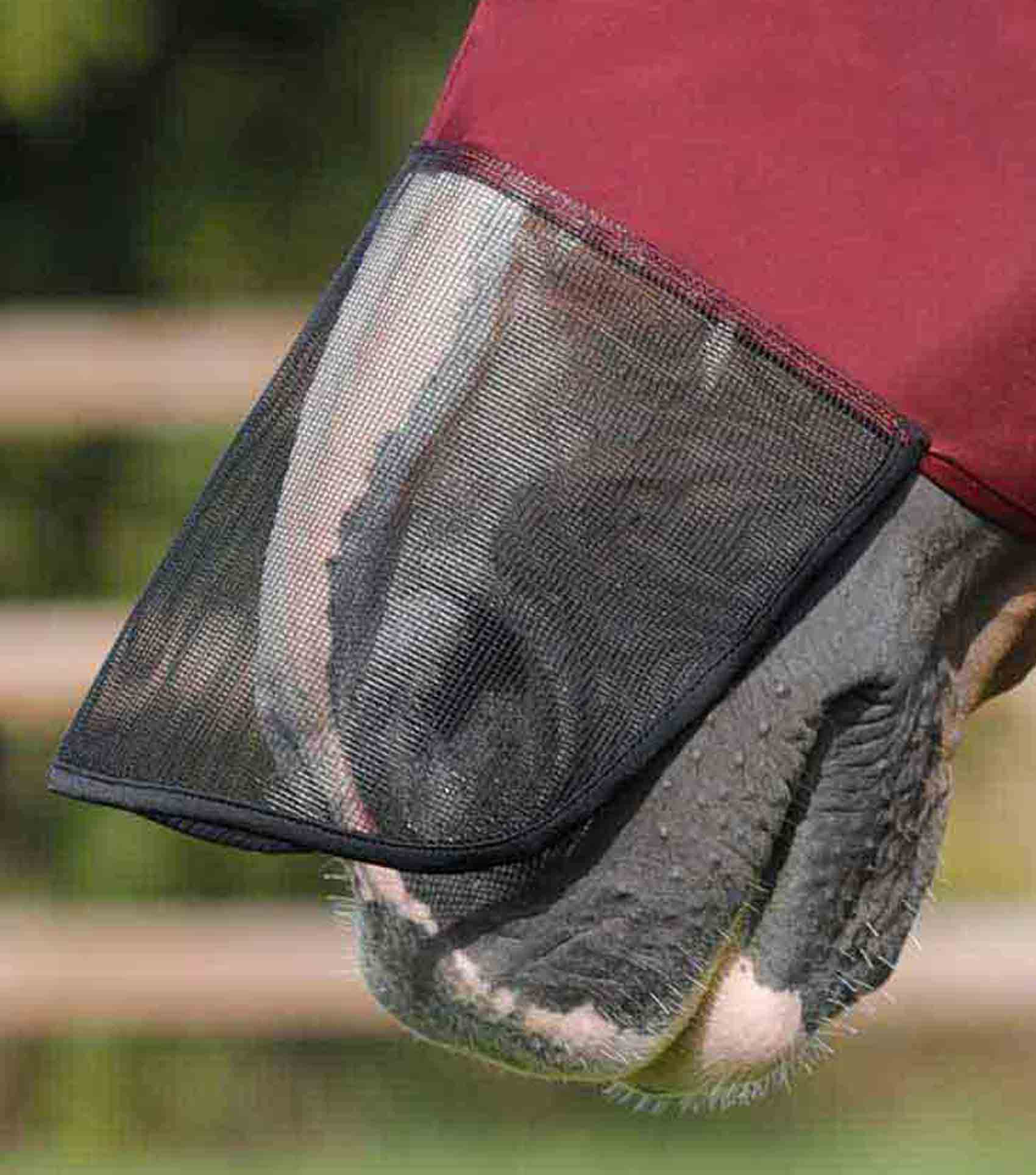 Comfort Tech Lycra Fly Mask Xtra Wine - Image 4