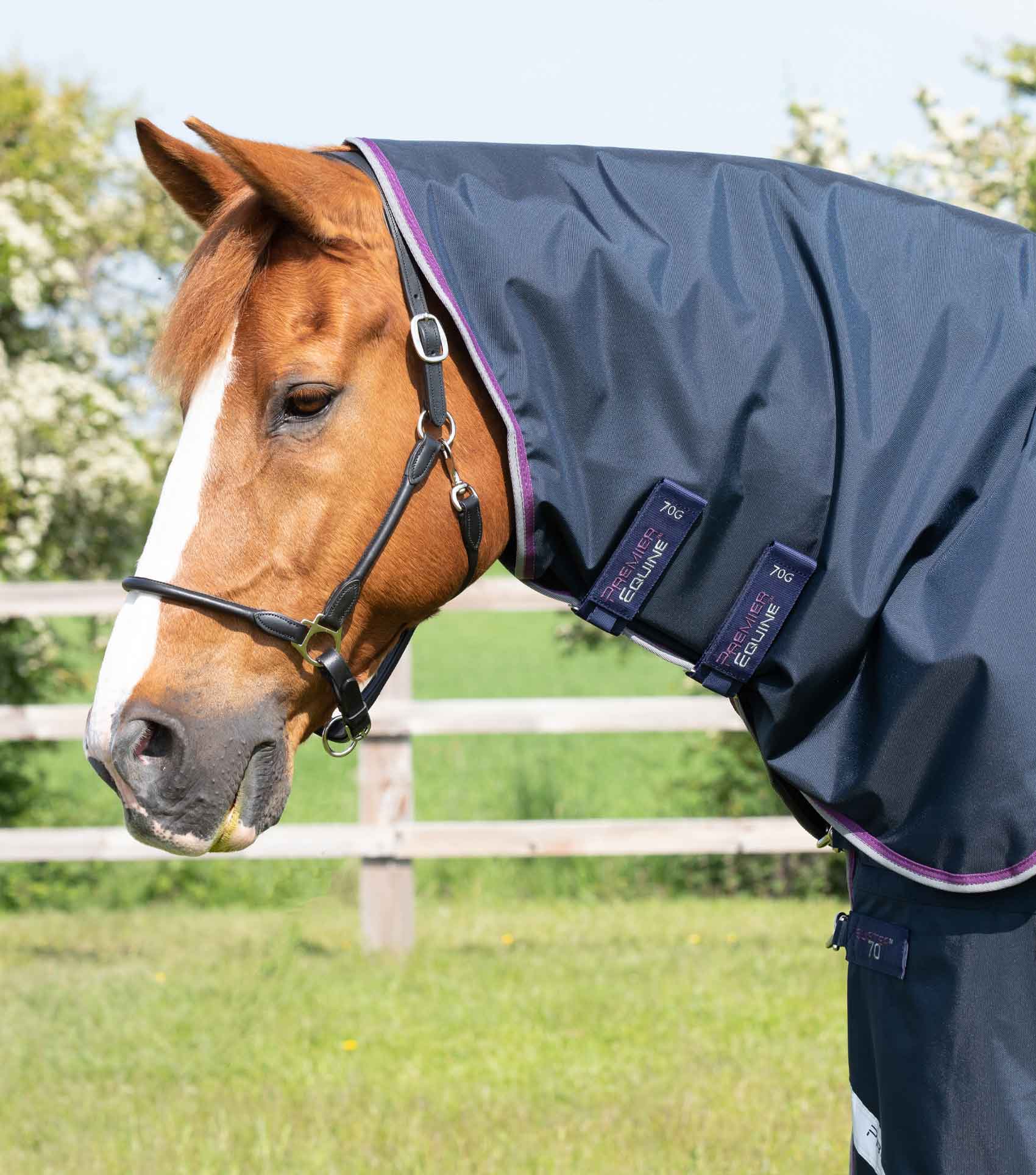 Buster 70g  Classic Neck Cover (70g Fill) - Image 2
