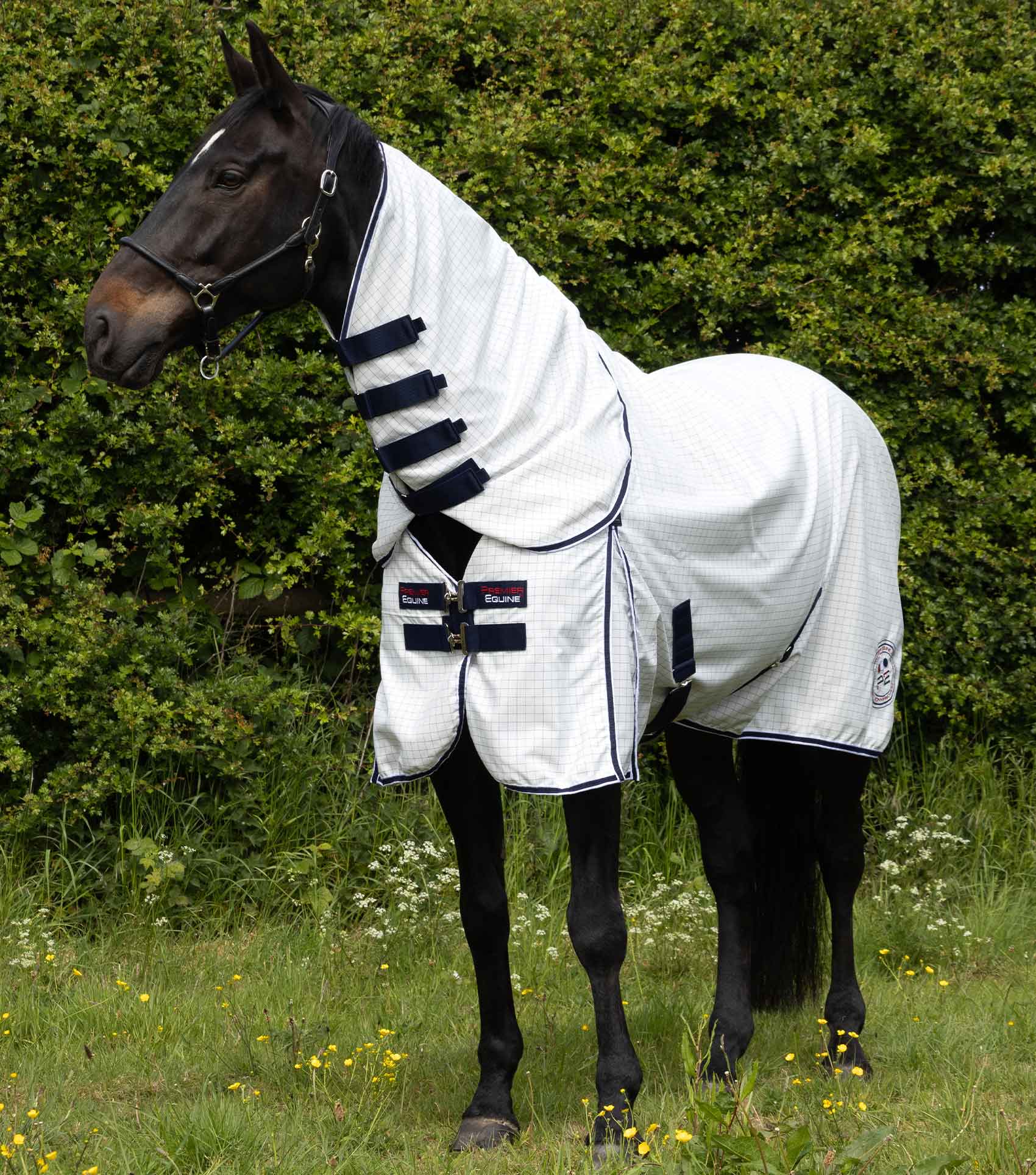 Cotone Combo Stable Sheet