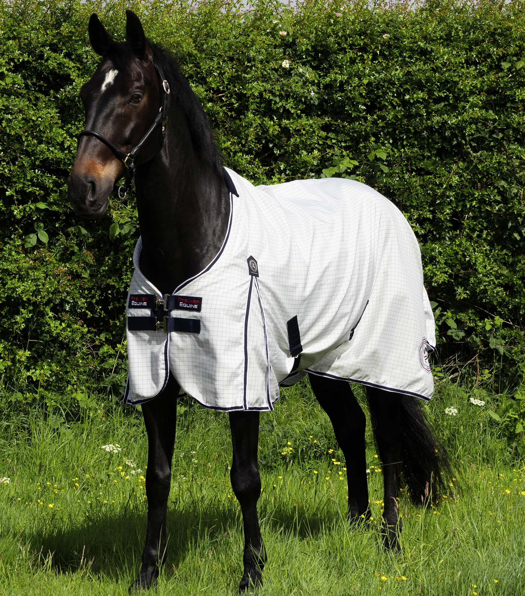Cotone Original Stable Sheet