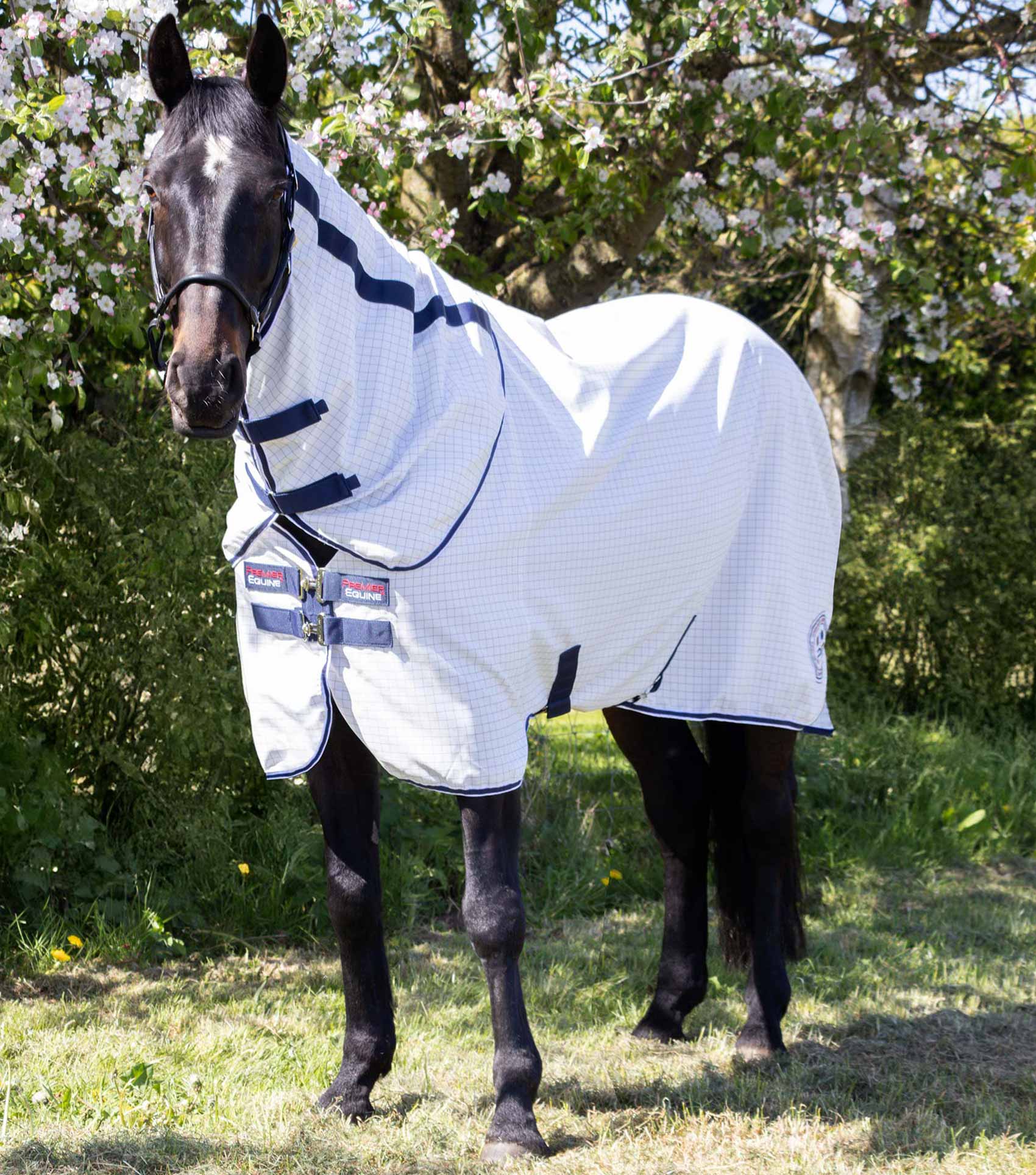Cotone Stable Sheet with Neck Cover