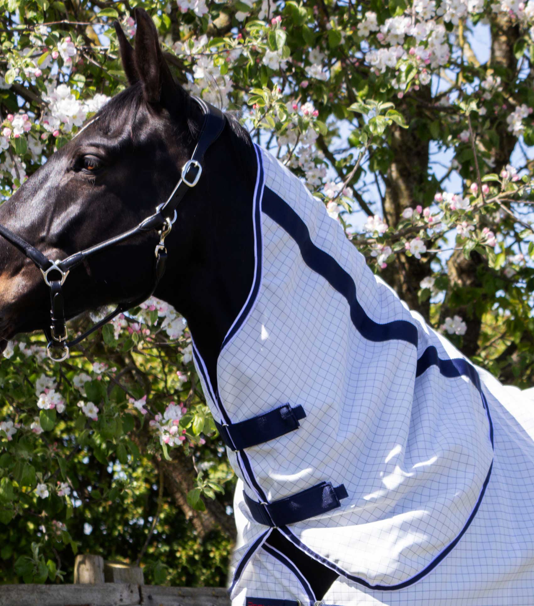 Cotone Stable Sheet with Neck Cover - Image 3