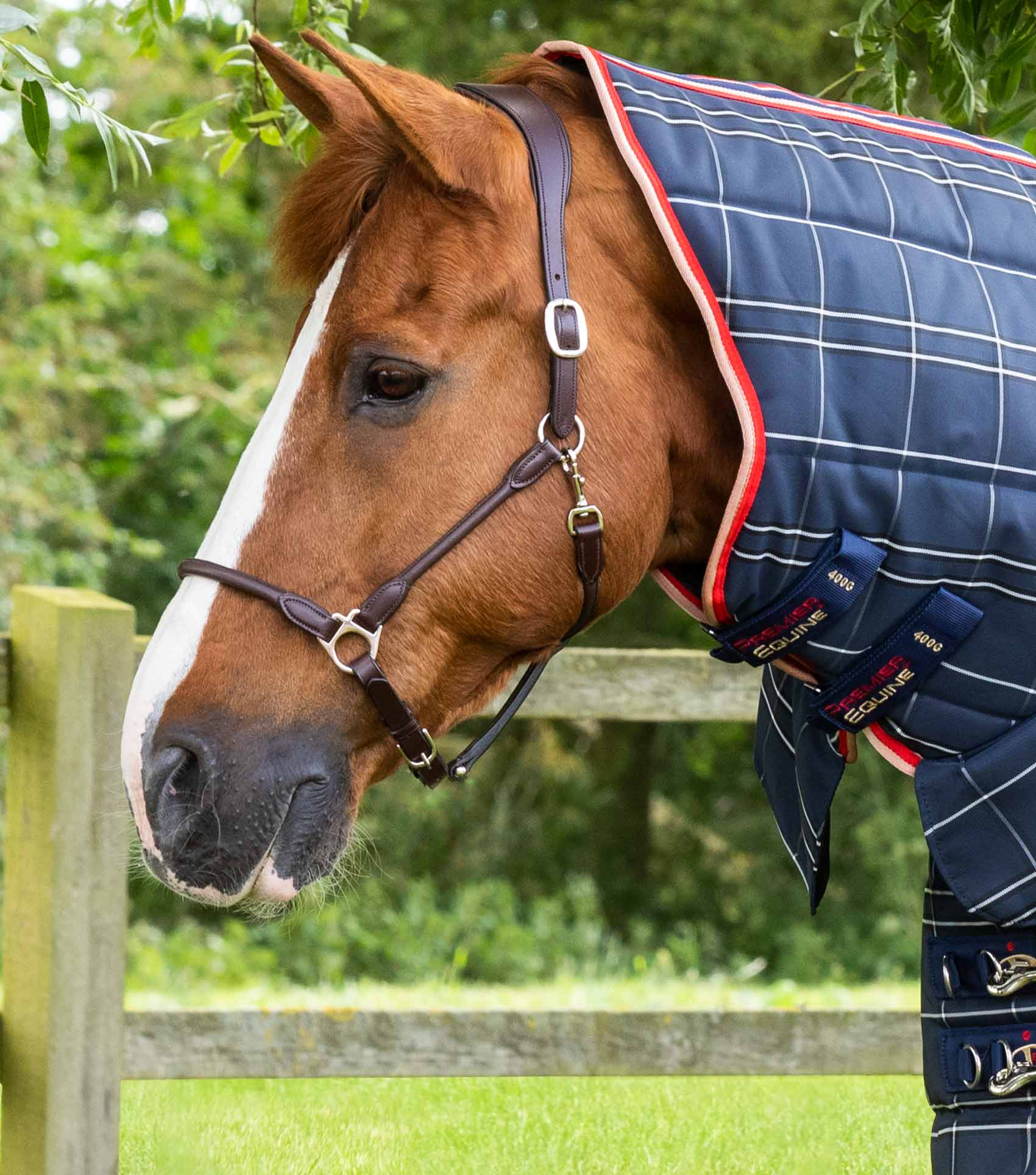 Domus 200g Combo Stable Rug Navy Check - Image 2