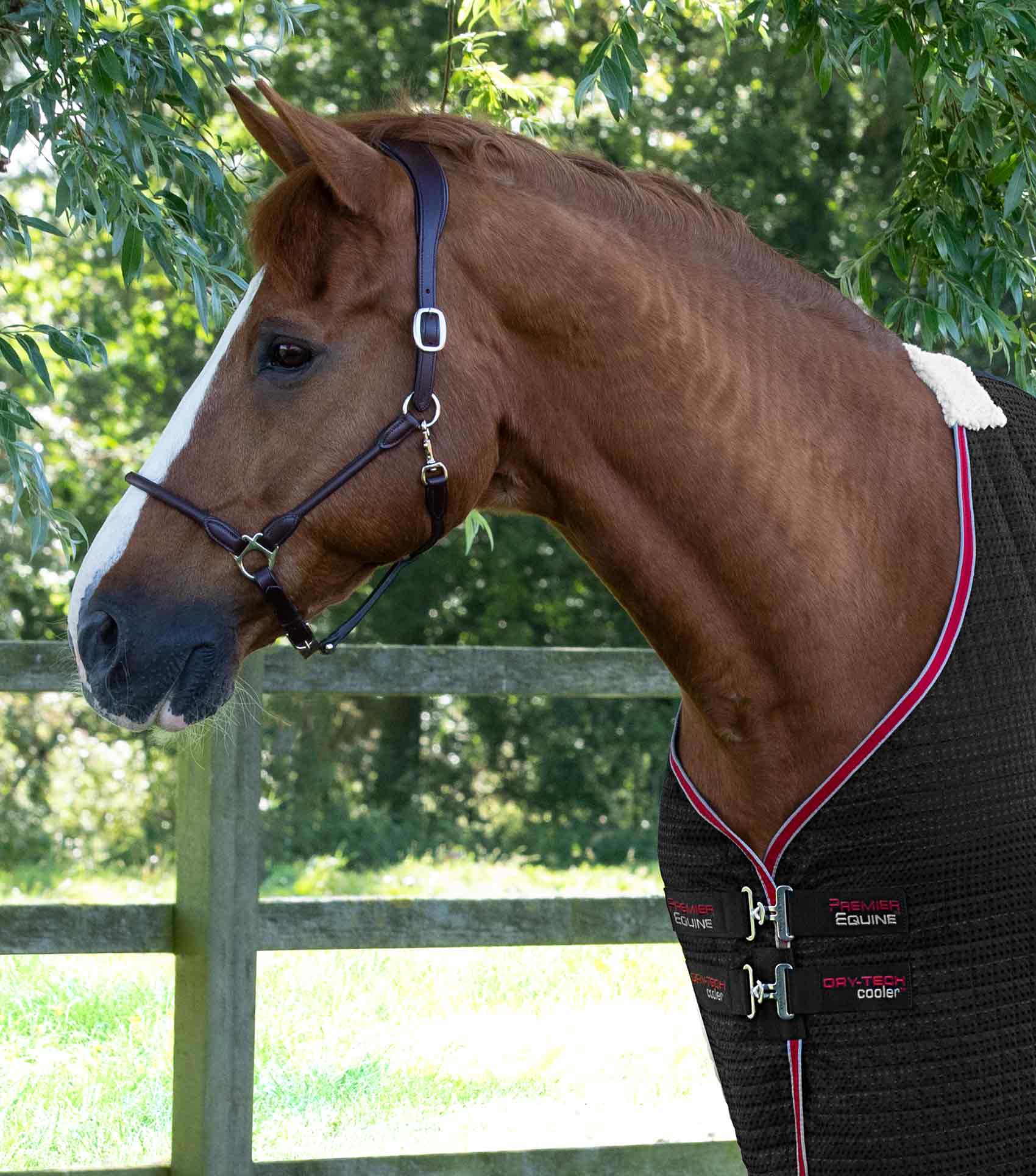 Dry-Tech Horse Cooler Rug Black - Image 2