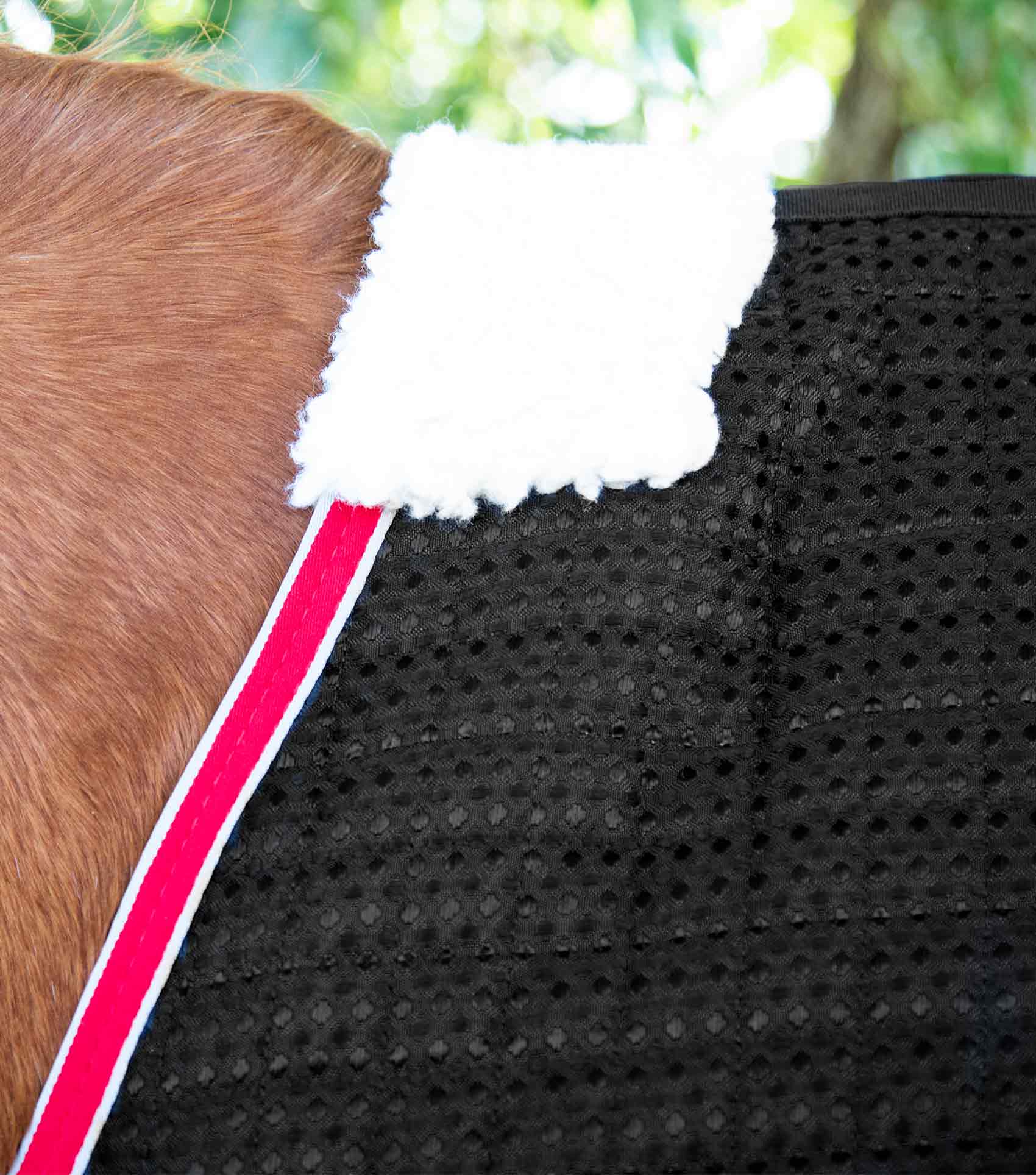 Dry-Tech Horse Cooler Rug Black - Image 3