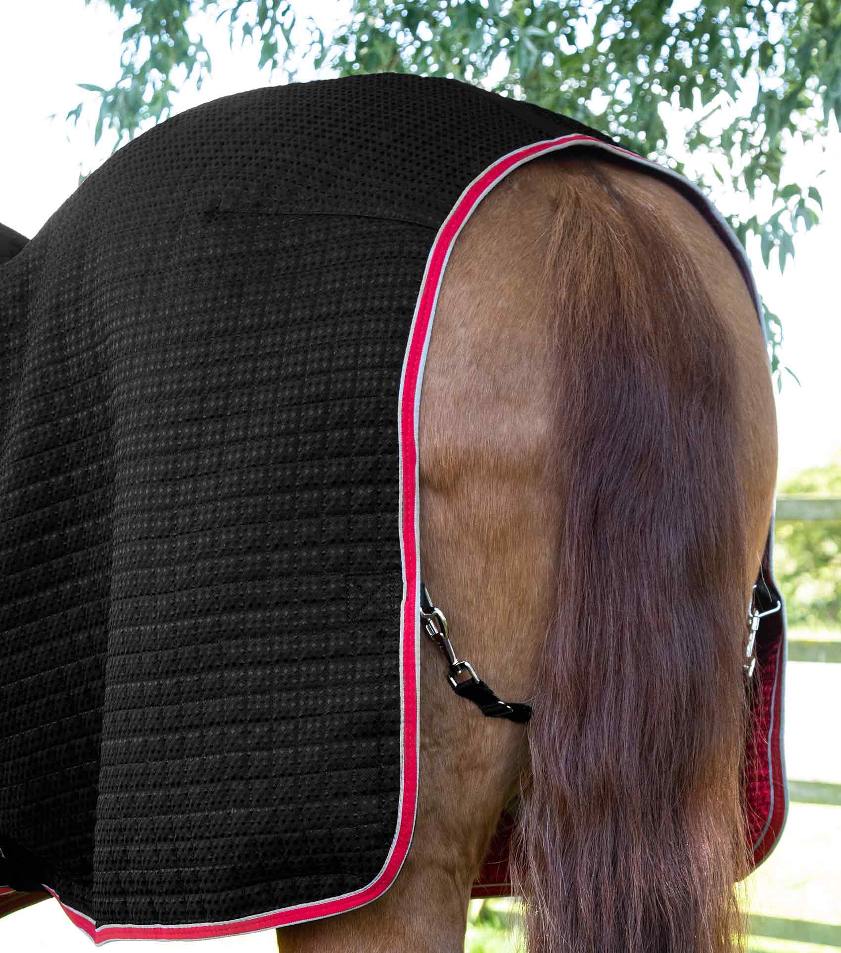 Dry-Tech Horse Cooler Rug Black - Image 5