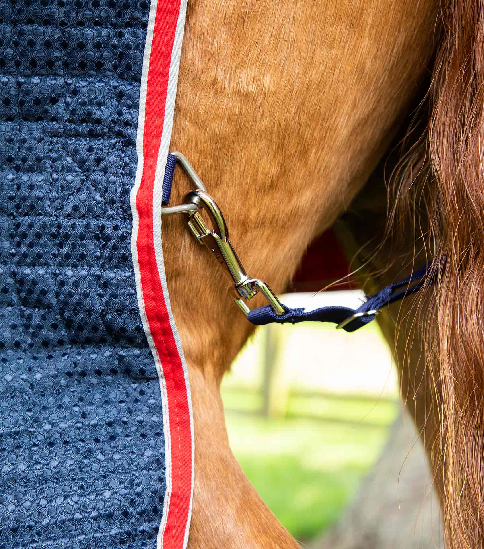 Dry-Tech Horse Cooler Rug Navy - Image 4