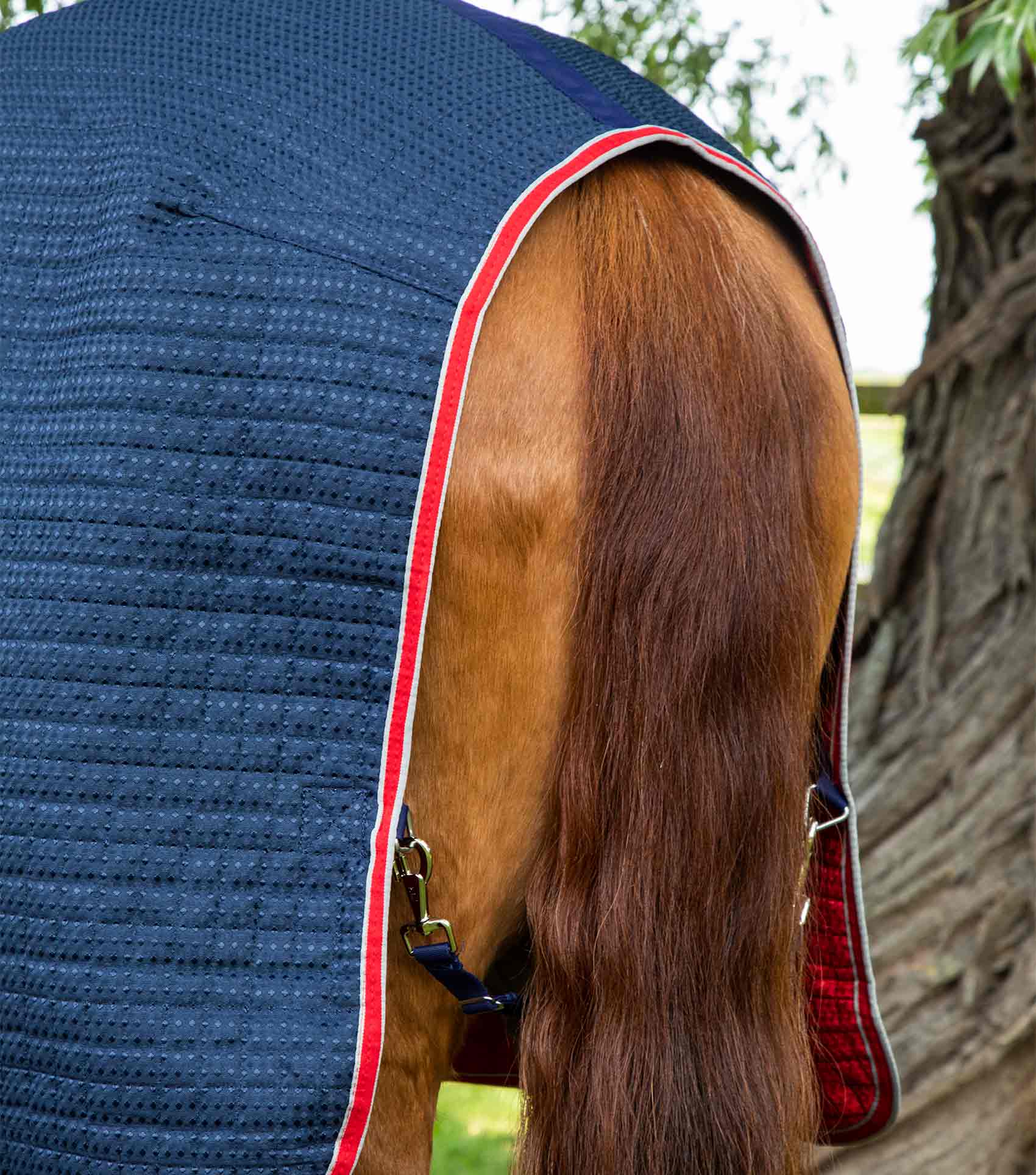 Dry-Tech Horse Cooler Rug Navy - Image 5