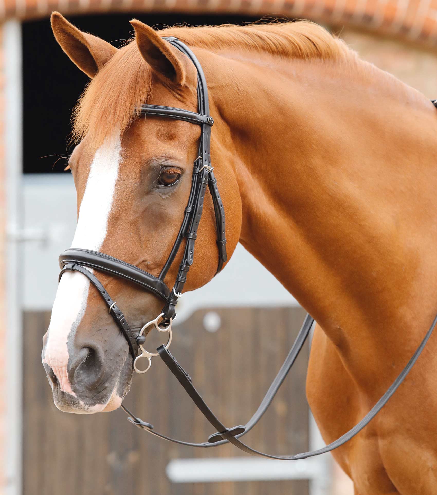 END OF LINE - Delizioso Snaffle Bridle