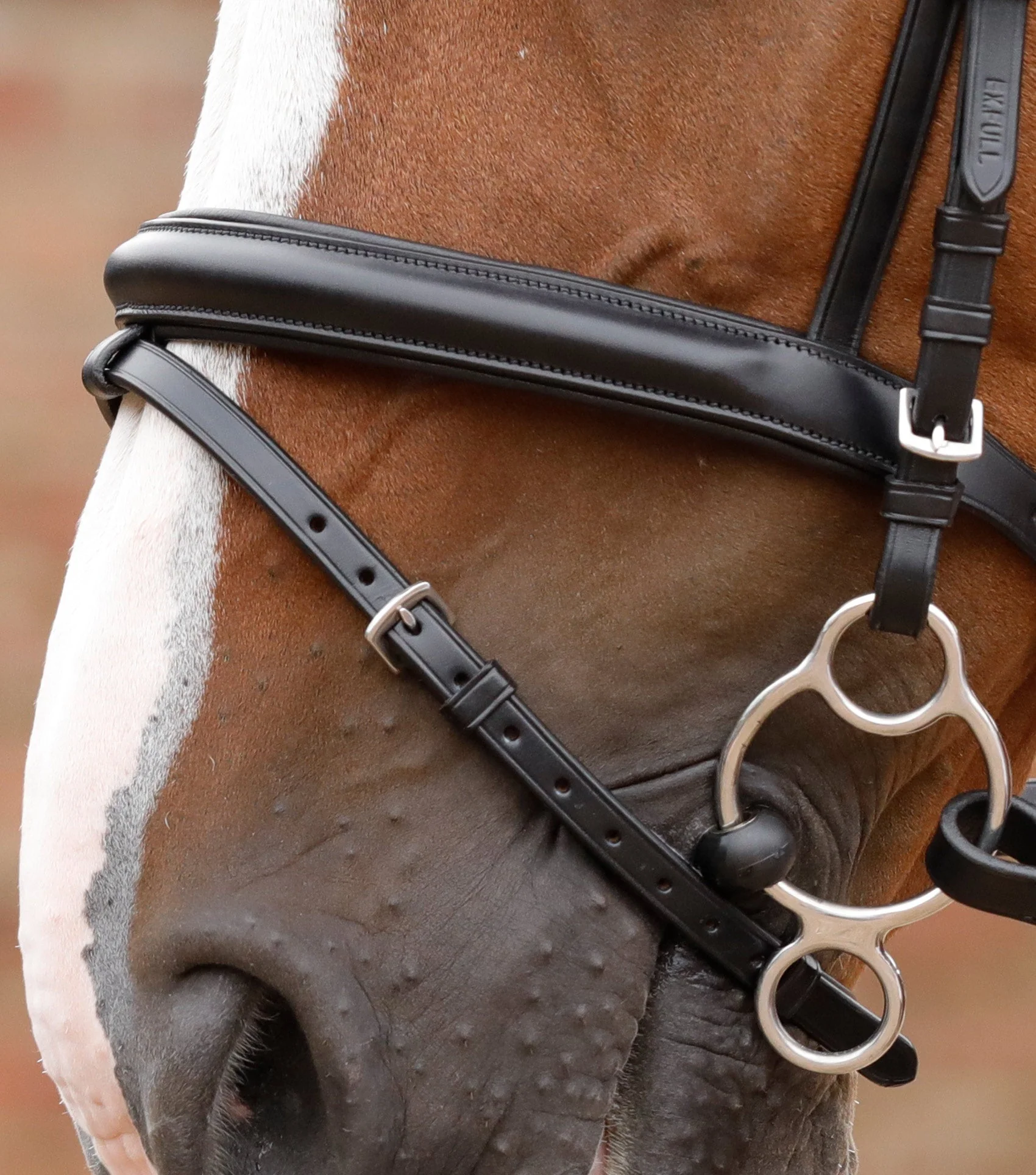 END OF LINE - Delizioso Snaffle Bridle - Image 2