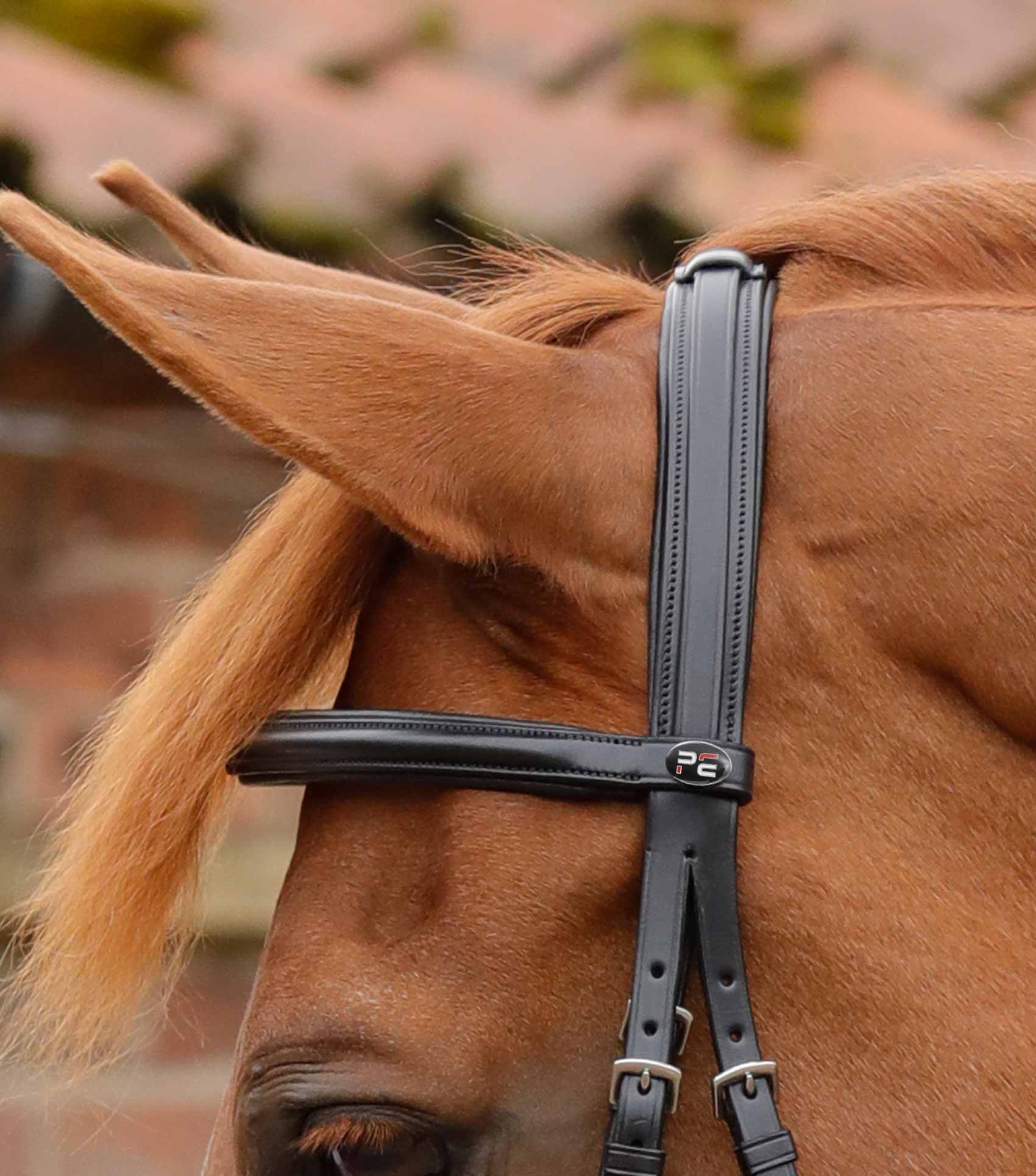 END OF LINE - Delizioso Snaffle Bridle - Image 3