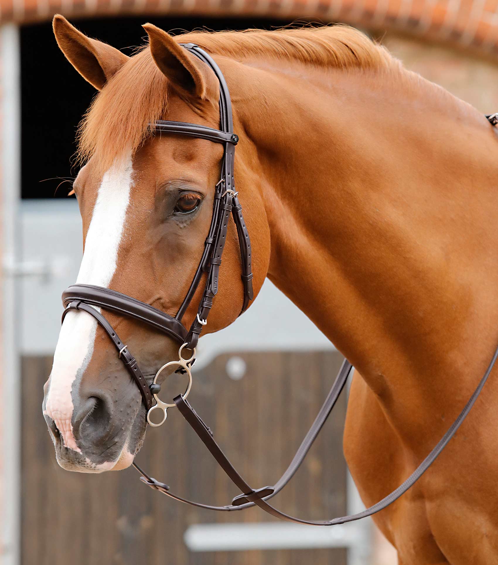 END OF LINE - Delizioso Snaffle Bridle - Image 7