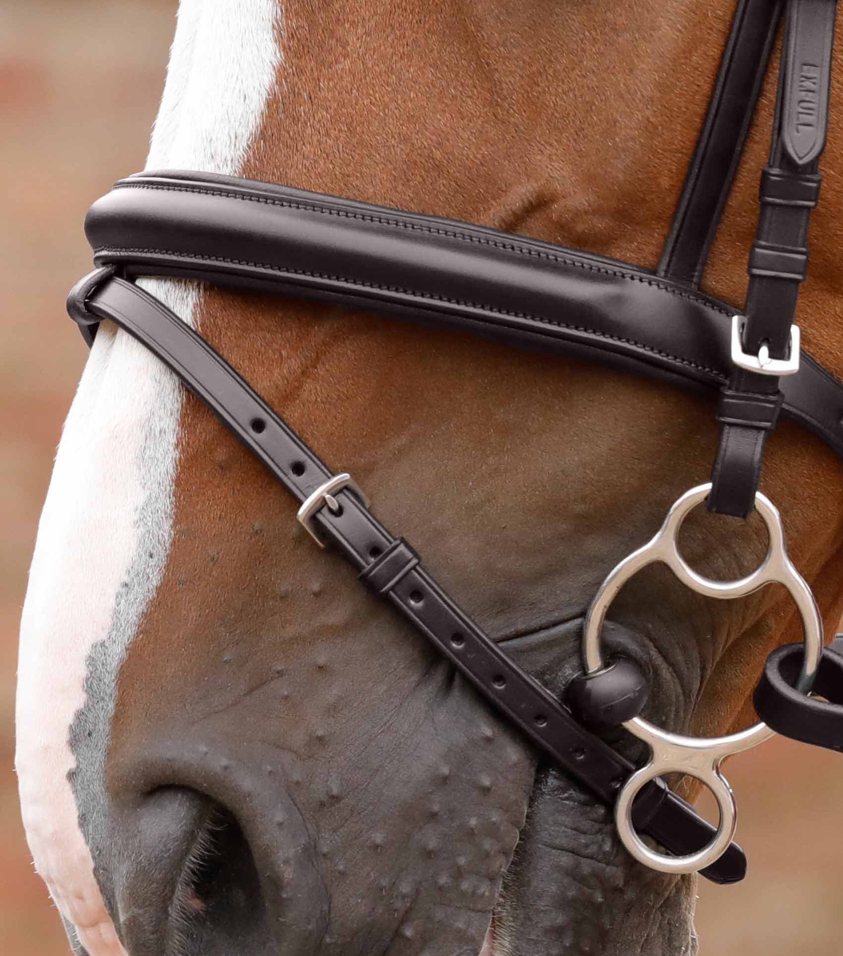 END OF LINE - Delizioso Snaffle Bridle - Image 8
